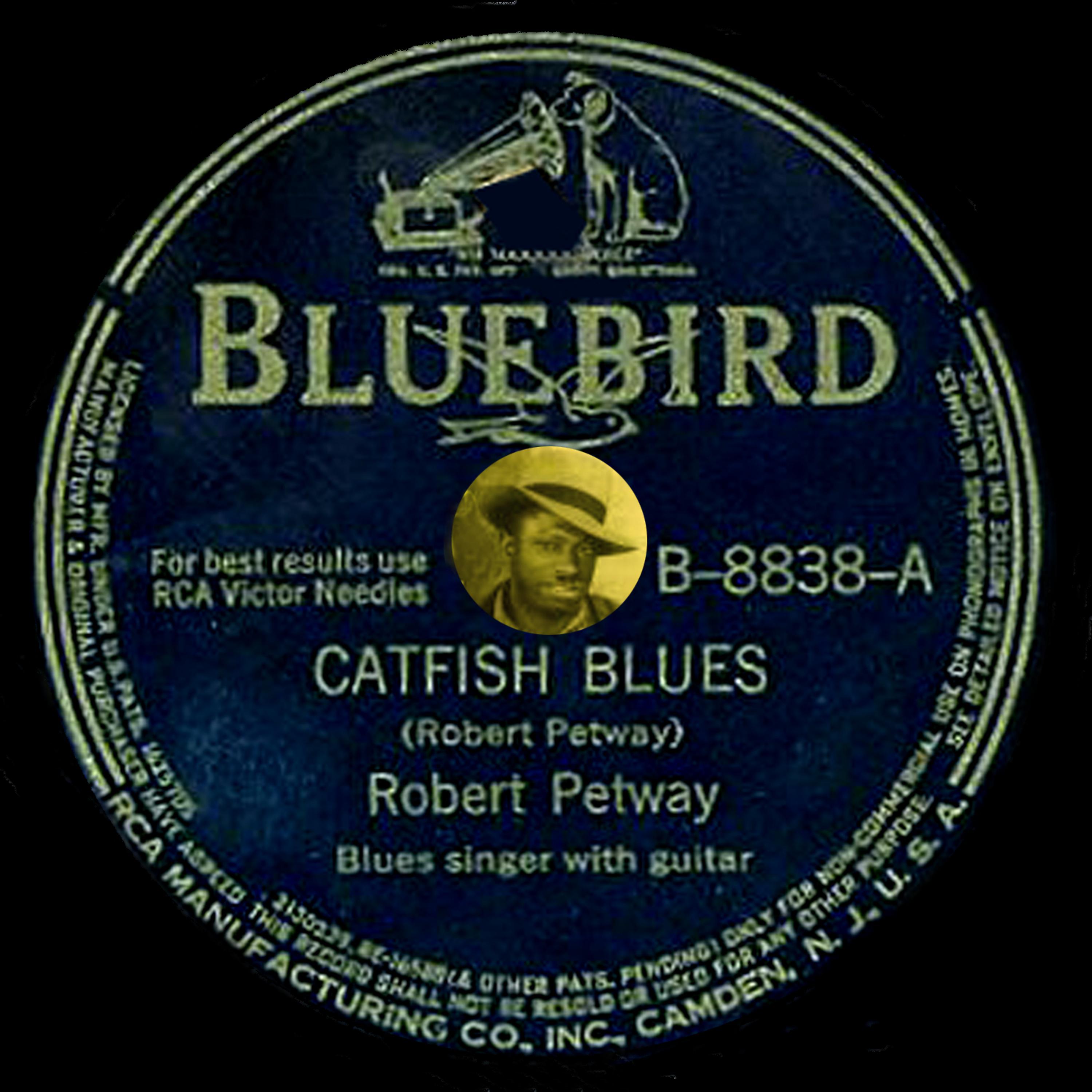 Постер альбома Catfish Blues