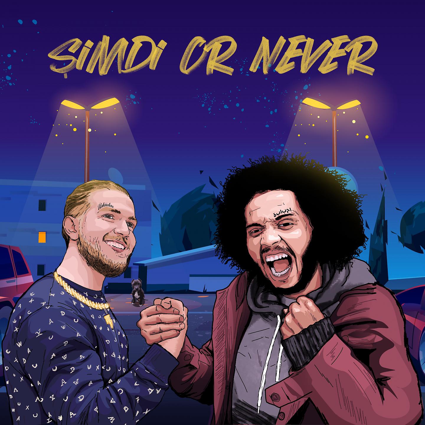 Постер альбома Şimdi Or Never