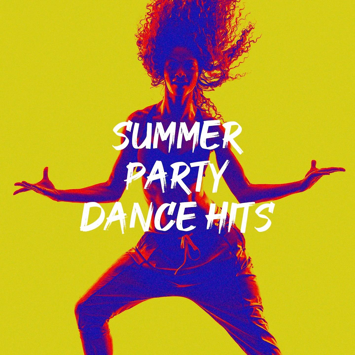Постер альбома Summer Party Dance Hits