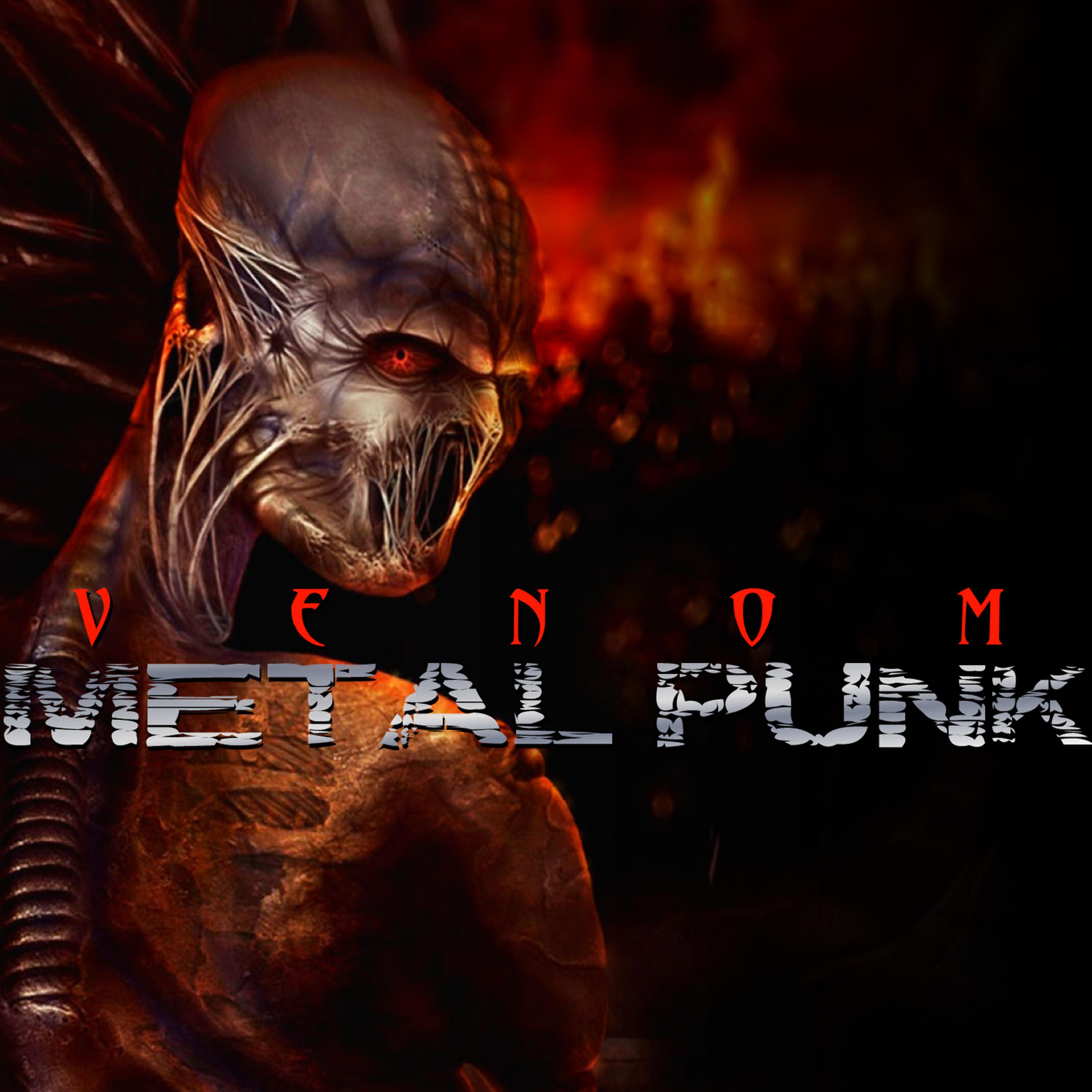 Постер альбома Metal Punk