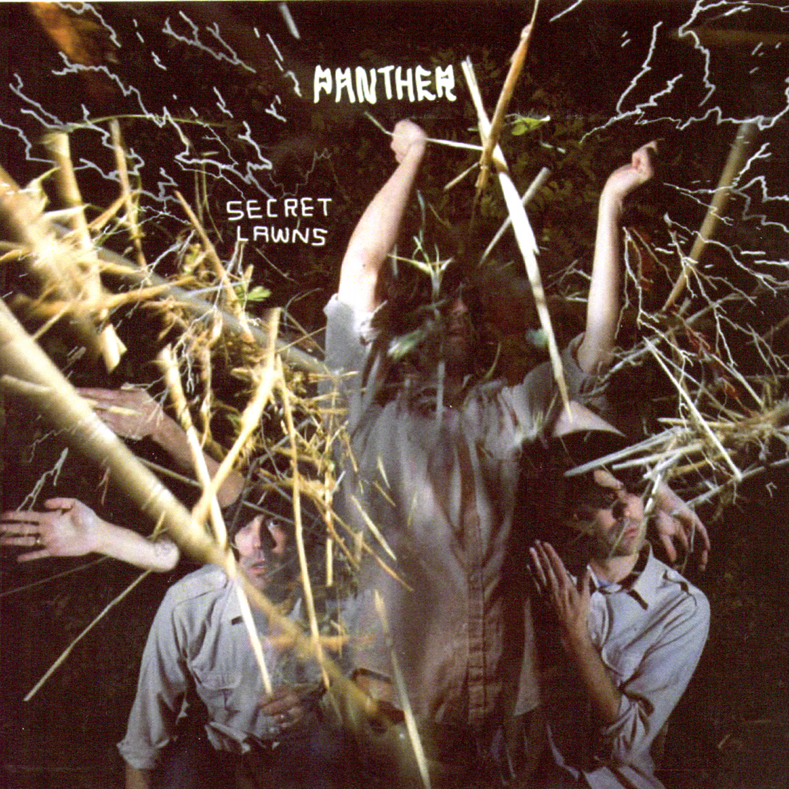 Panther - How Well Can You Swim?