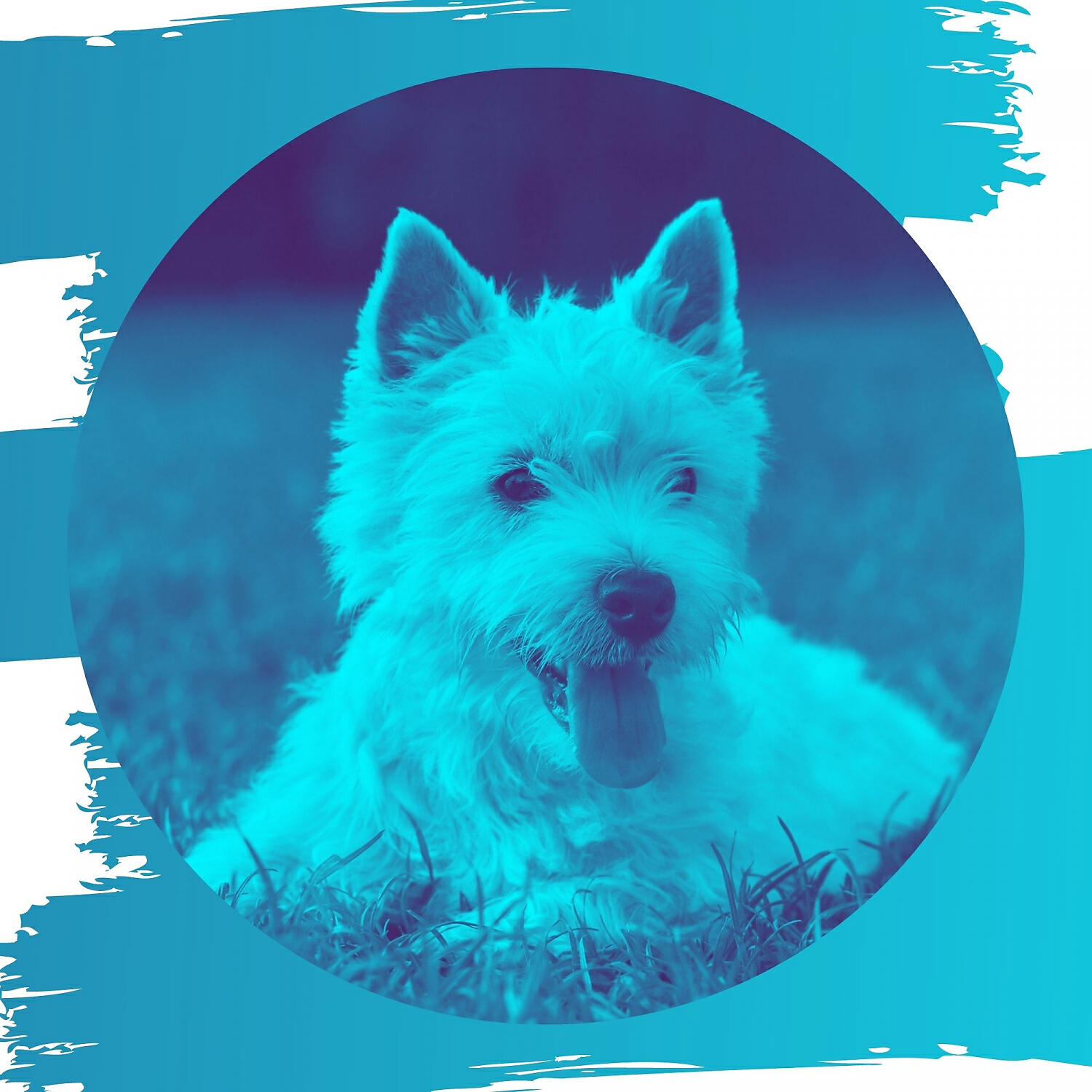 Gentle Doggy Music - Background for Doggy Anxiety