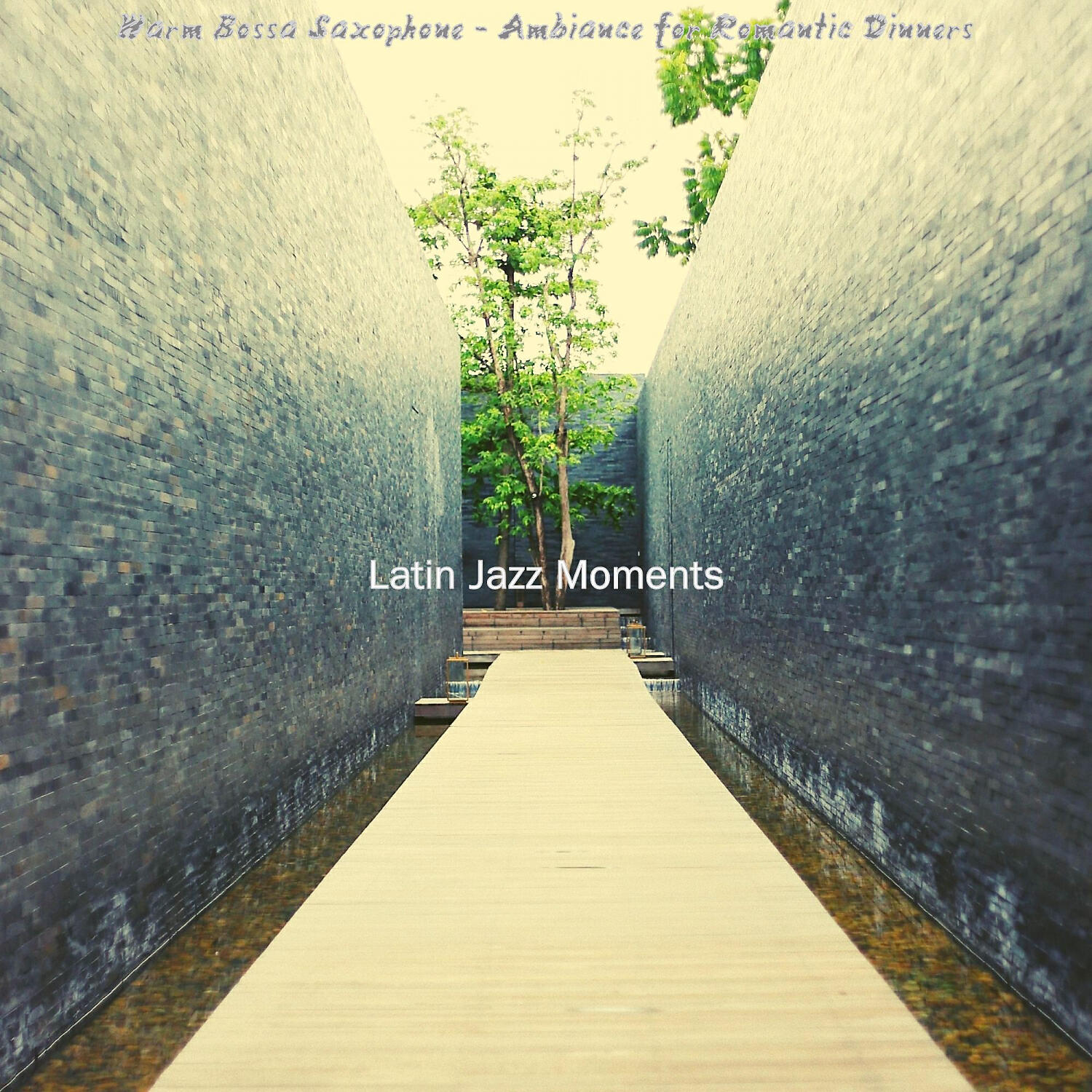 Latin Jazz Moments - Cultivated Backdrops for Hotel Lobbies