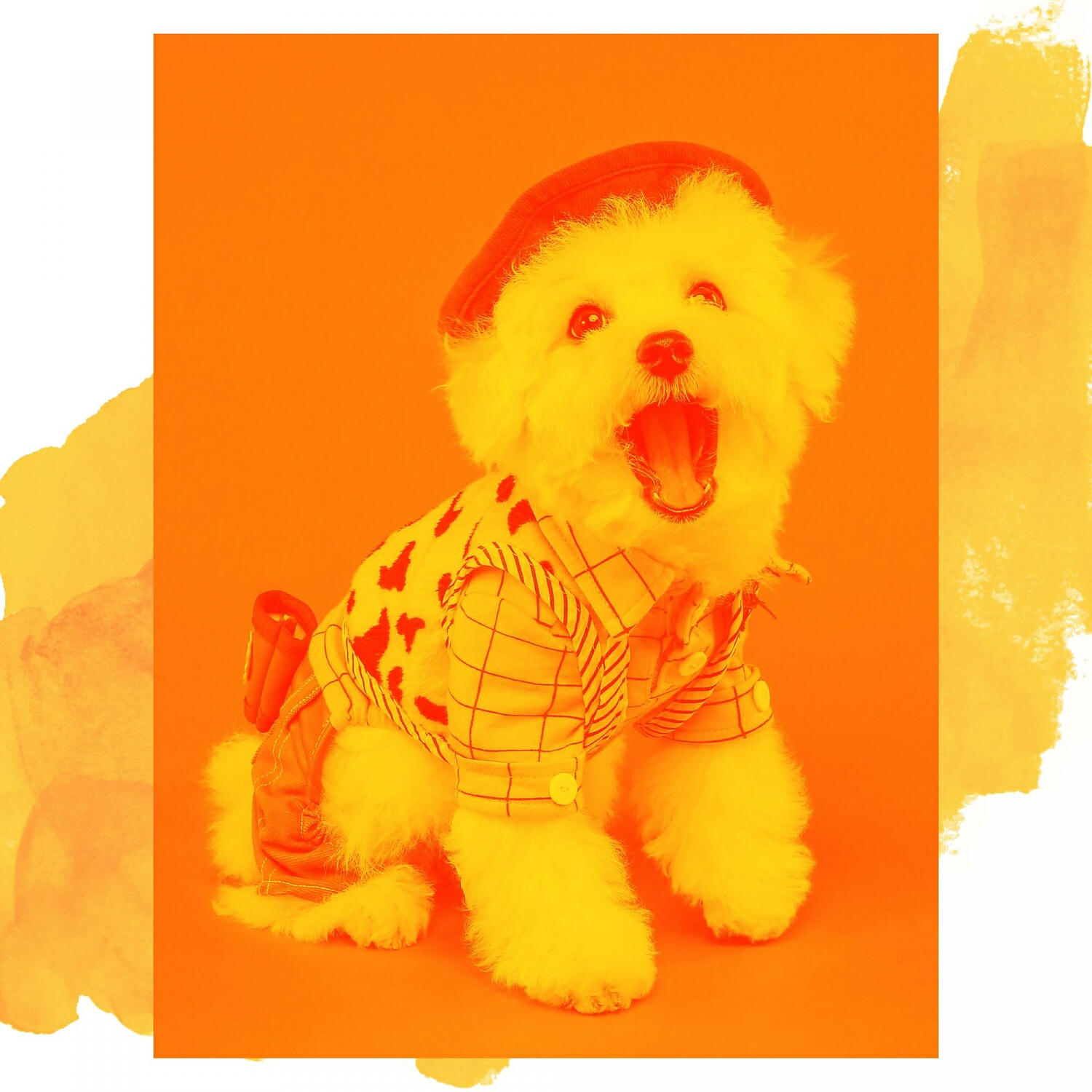 Music for Dogs Playlist - Sumptuous Relaxing Your Dog