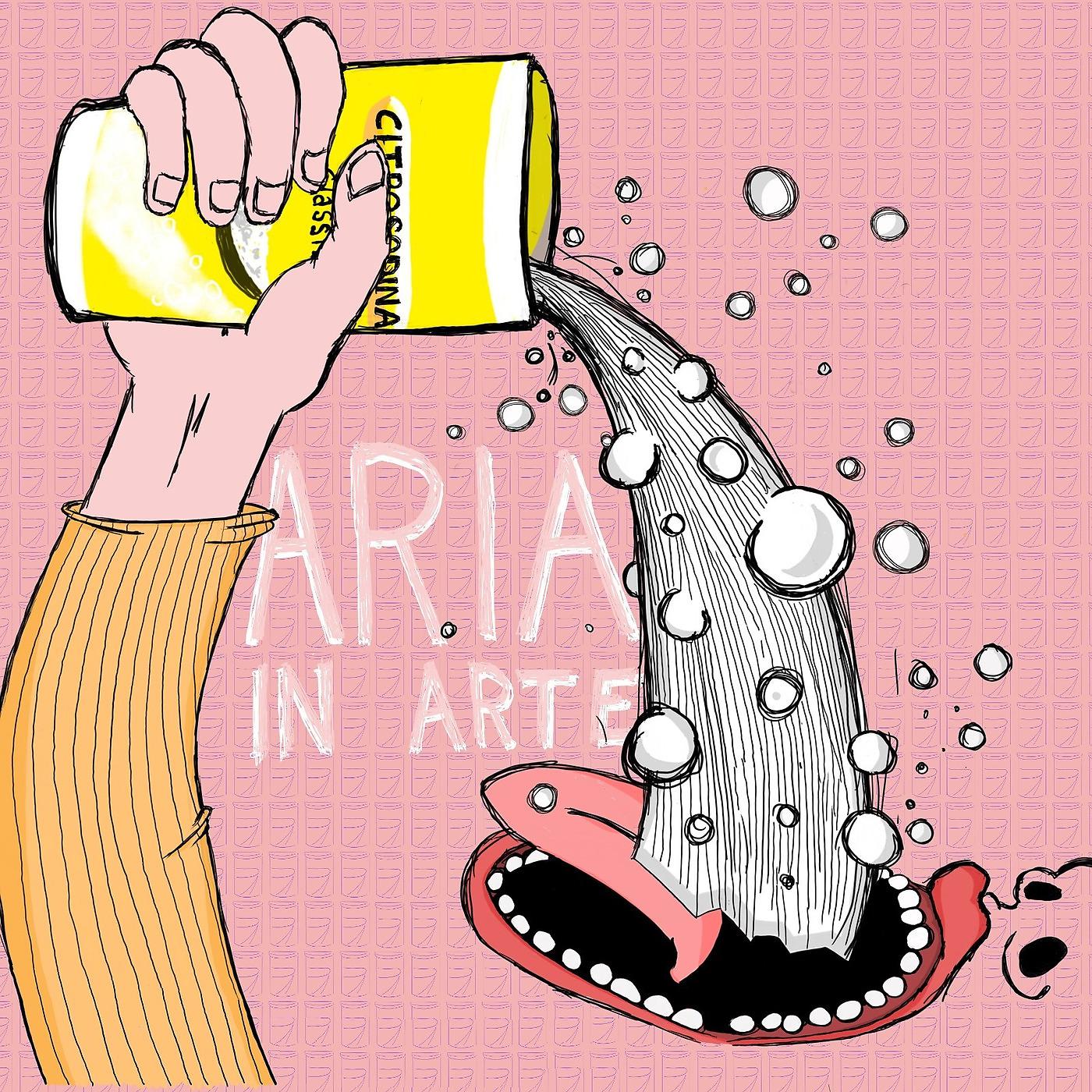 Постер альбома Aria in arte