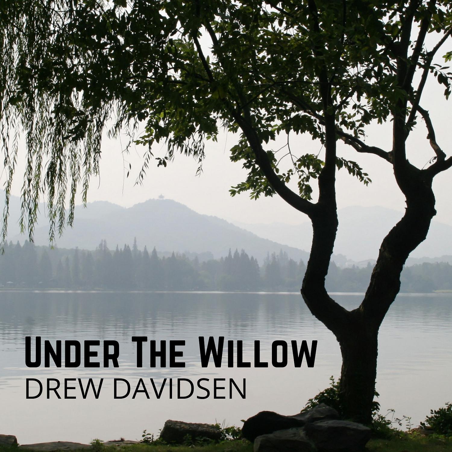 Постер альбома Under The Willow