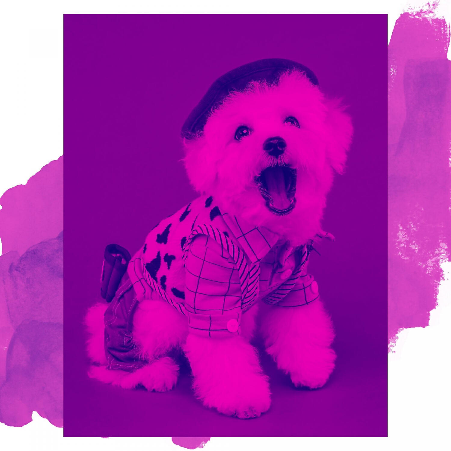 Dog Chill Out Music - Festive Music for Dog Walking