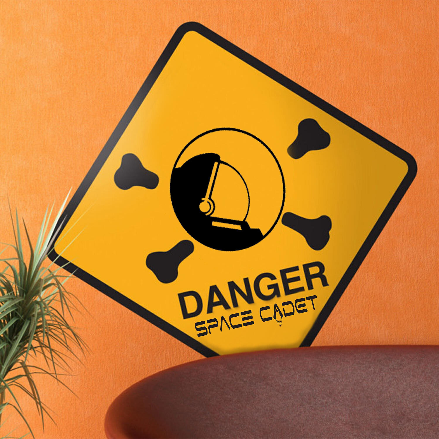 Space Cadet - Danger