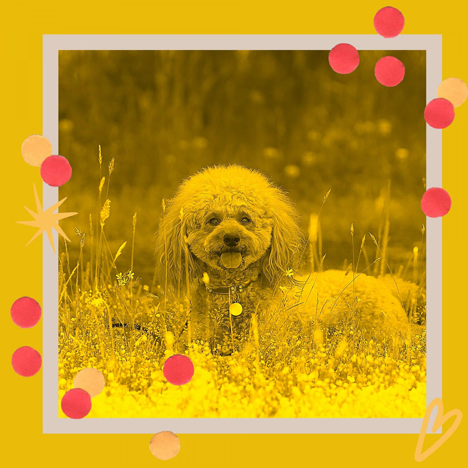 Relaxing Dog Music Lounge - Stellar Backdrops for Doggy Naptime