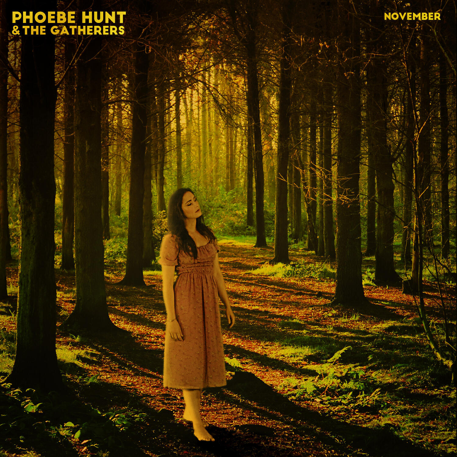 Phoebe Hunt - November