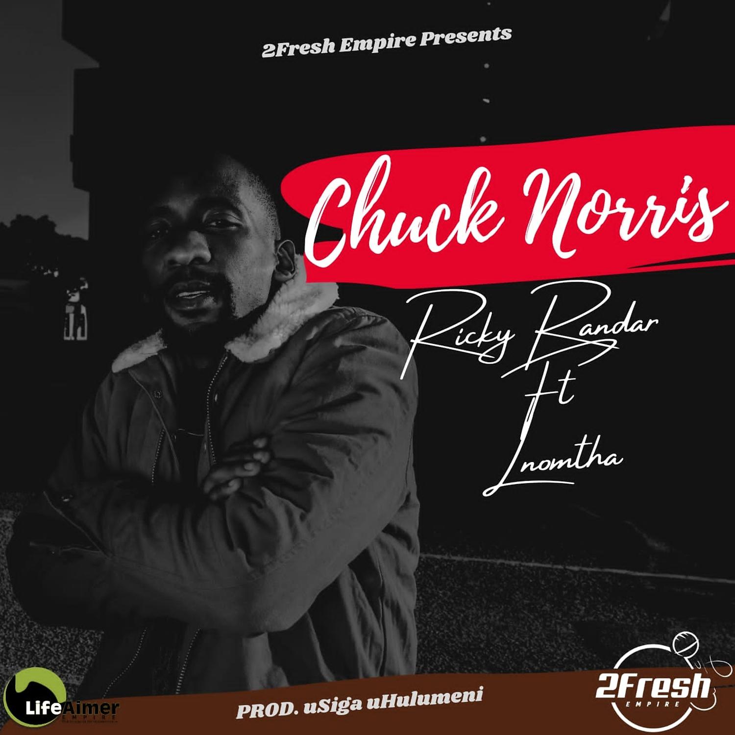 Постер альбома Chuck Norris (feat. LNomtha)