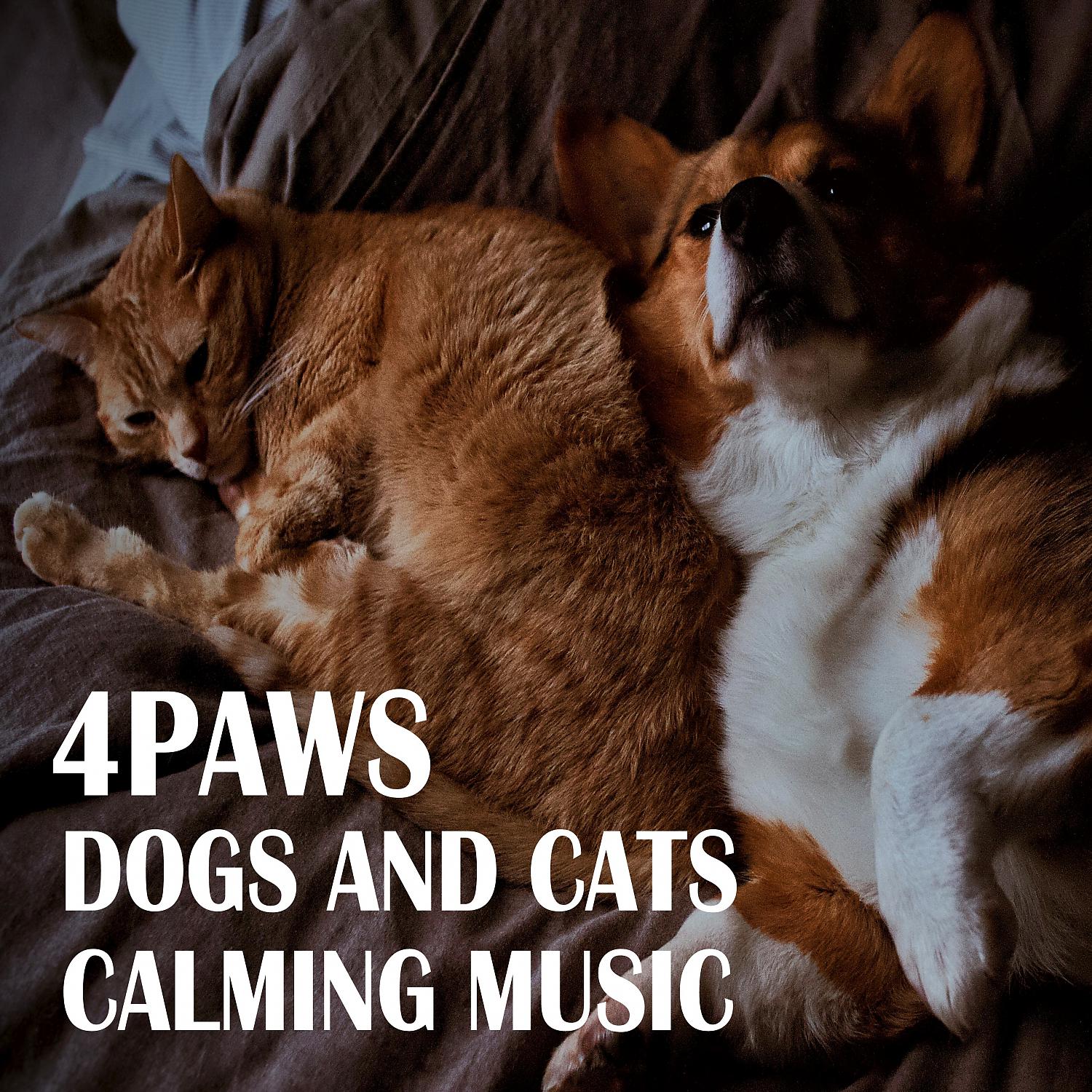 Постер альбома 4PAWS: Dogs And Cats Calming Music