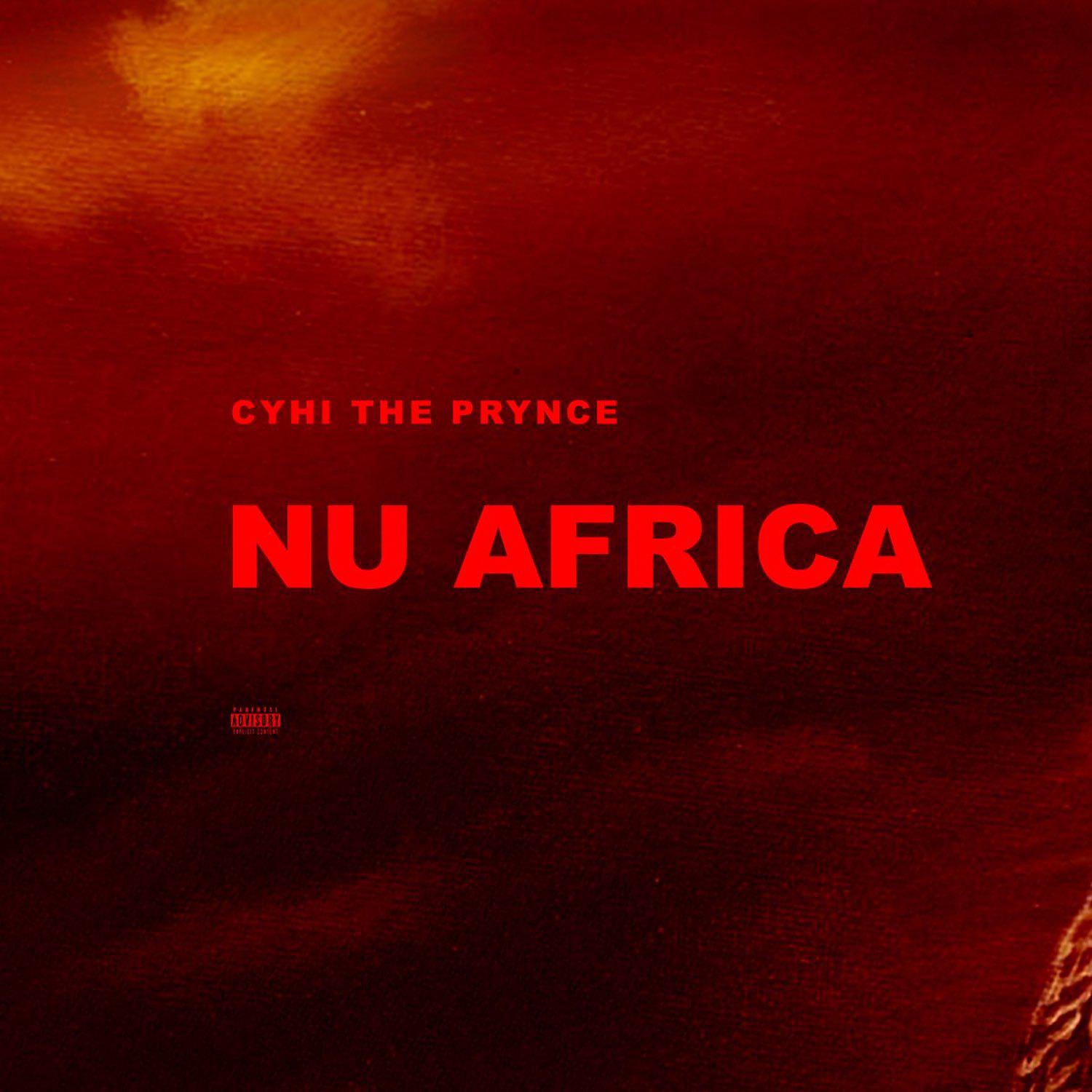 Постер альбома Nu Africa