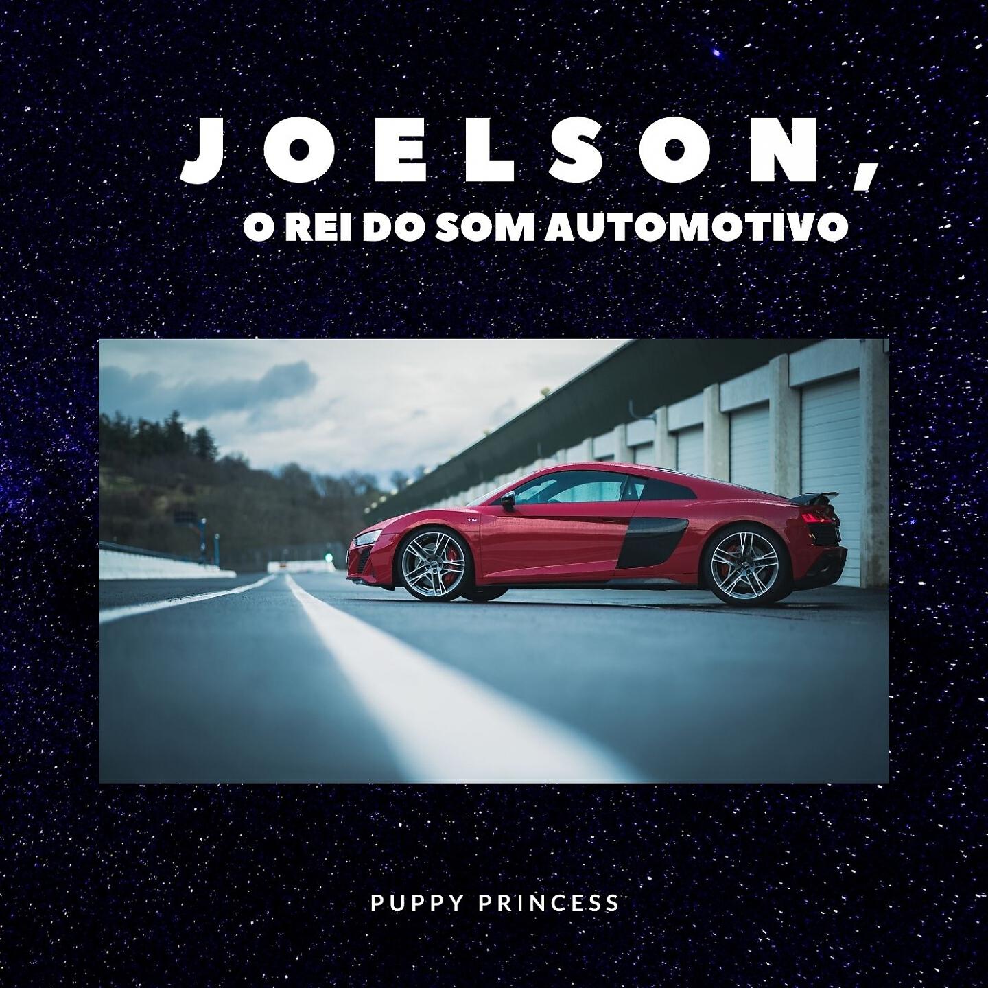 JOELSON O REI DO SOM AUTOMOTIVO - Puppy Princess
