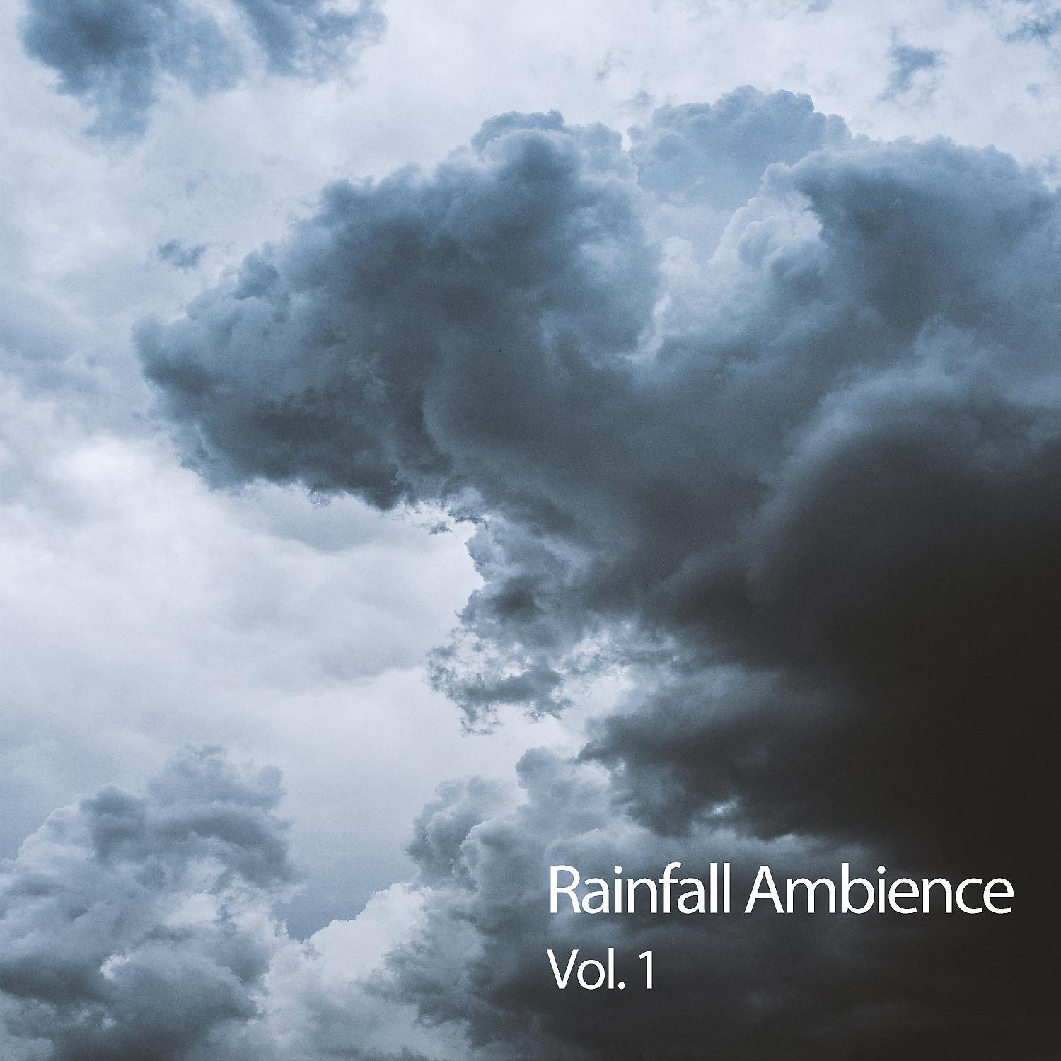 Постер альбома Rainfall Ambience Vol. 1