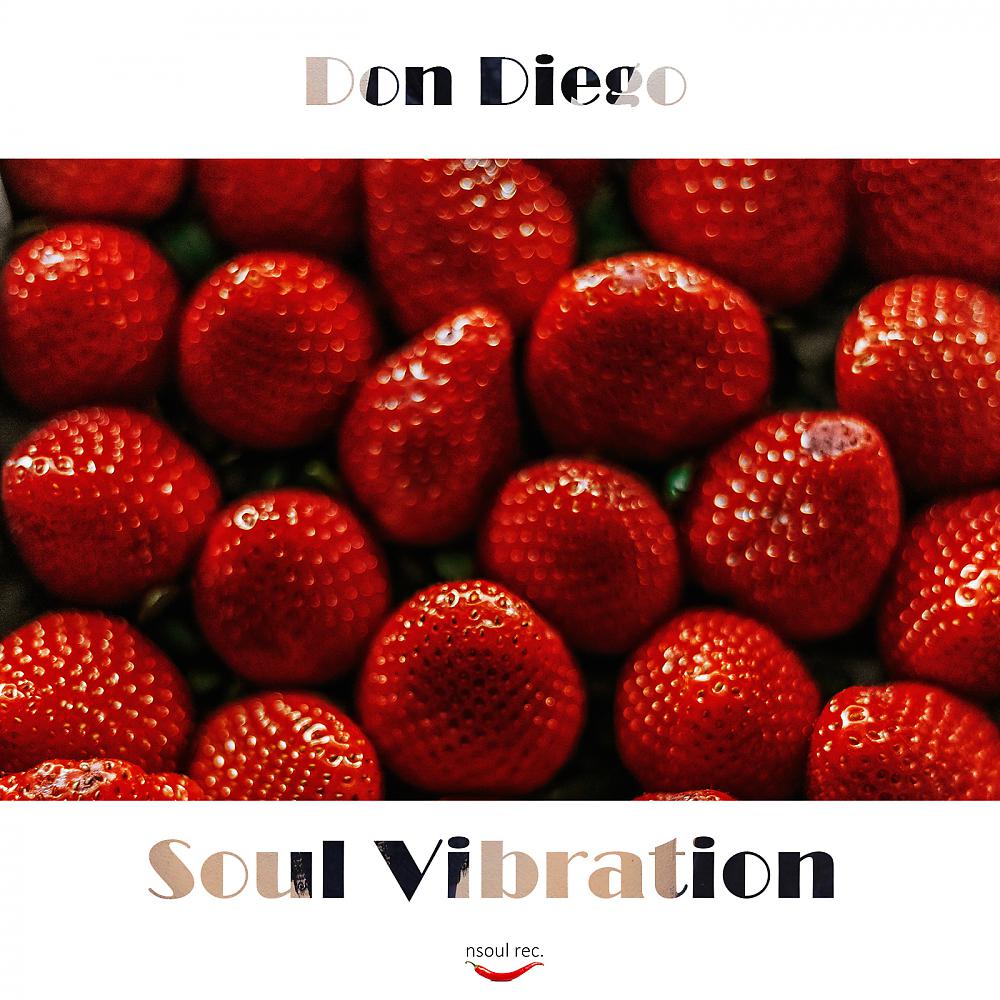 Постер альбома Soul Vibration