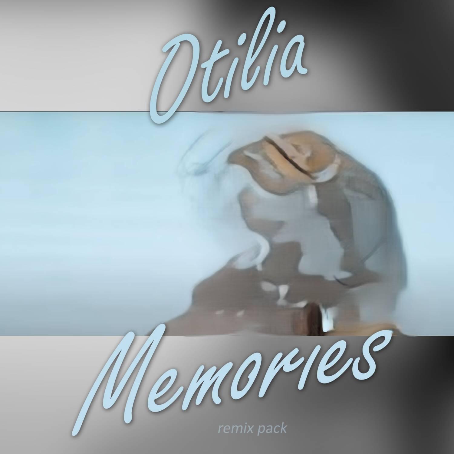 Otilia - Iubire Adevarata (Wib3X Remix)