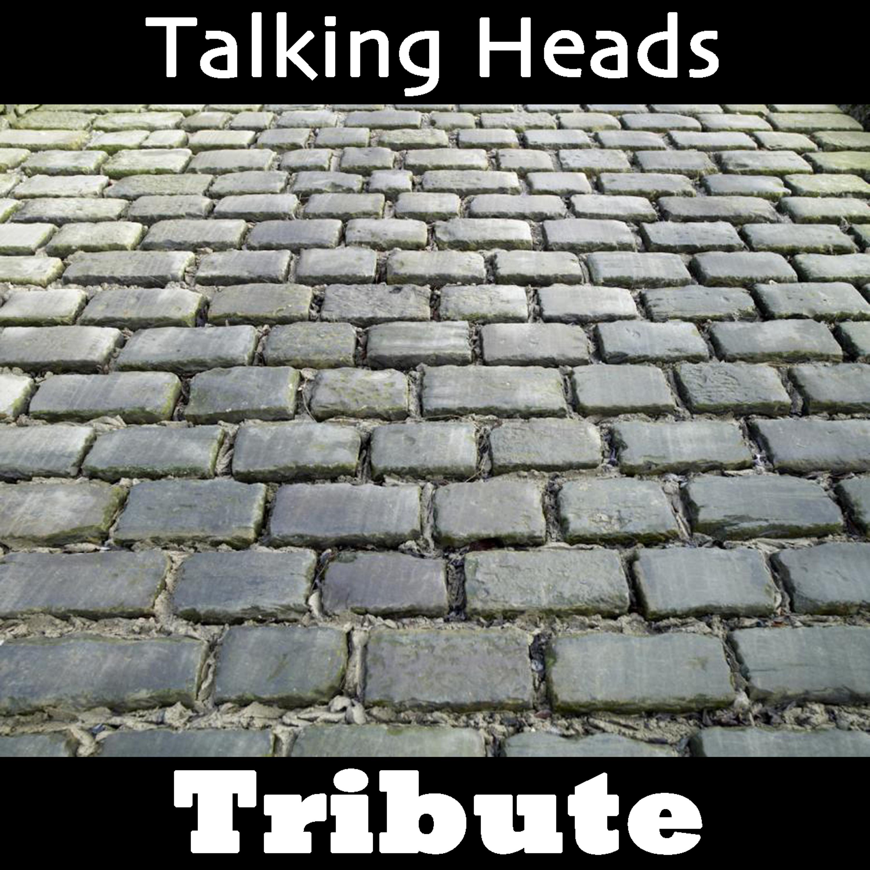 Постер альбома Once in a Lifetime: Tribute to Talking Heads