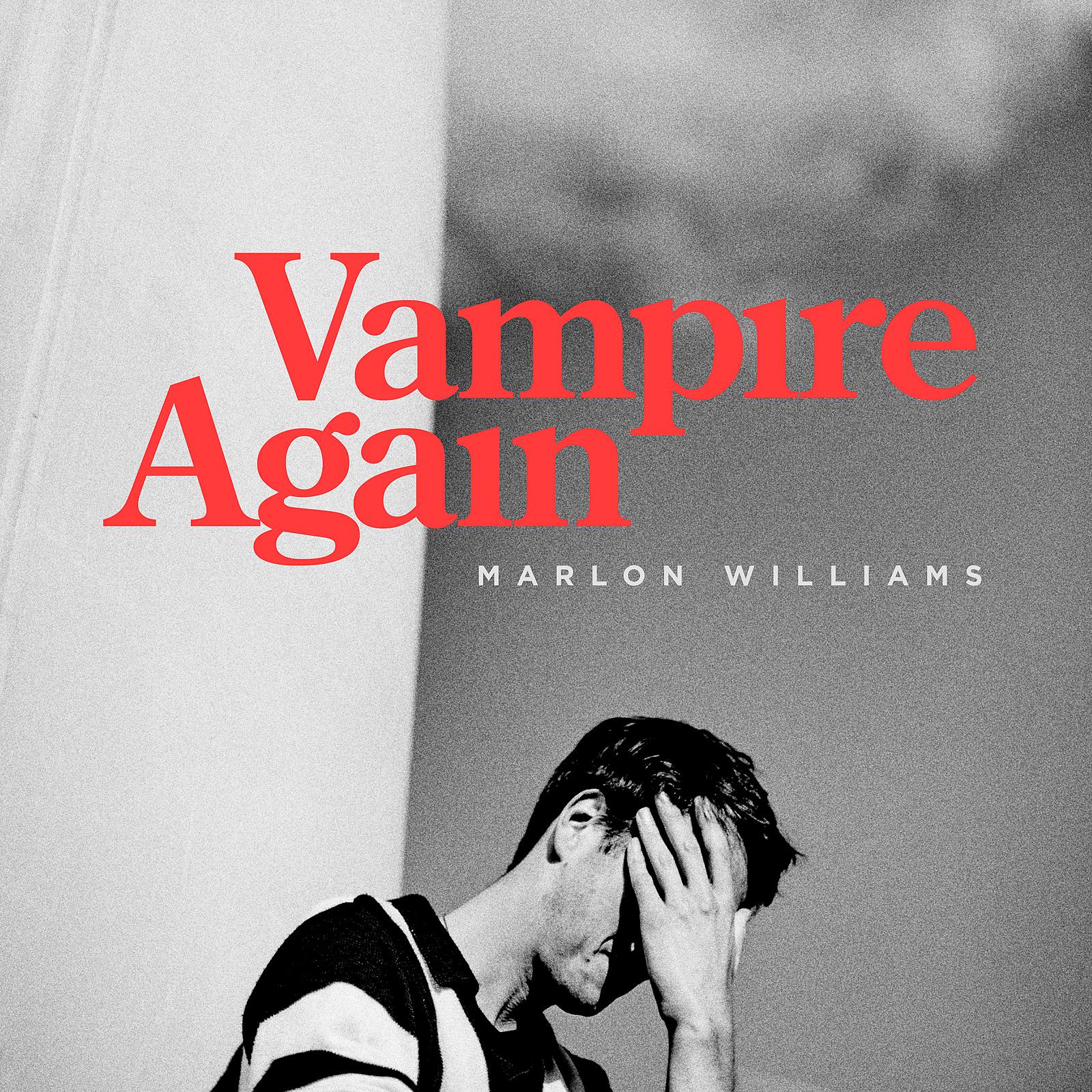 Постер альбома Vampire Again