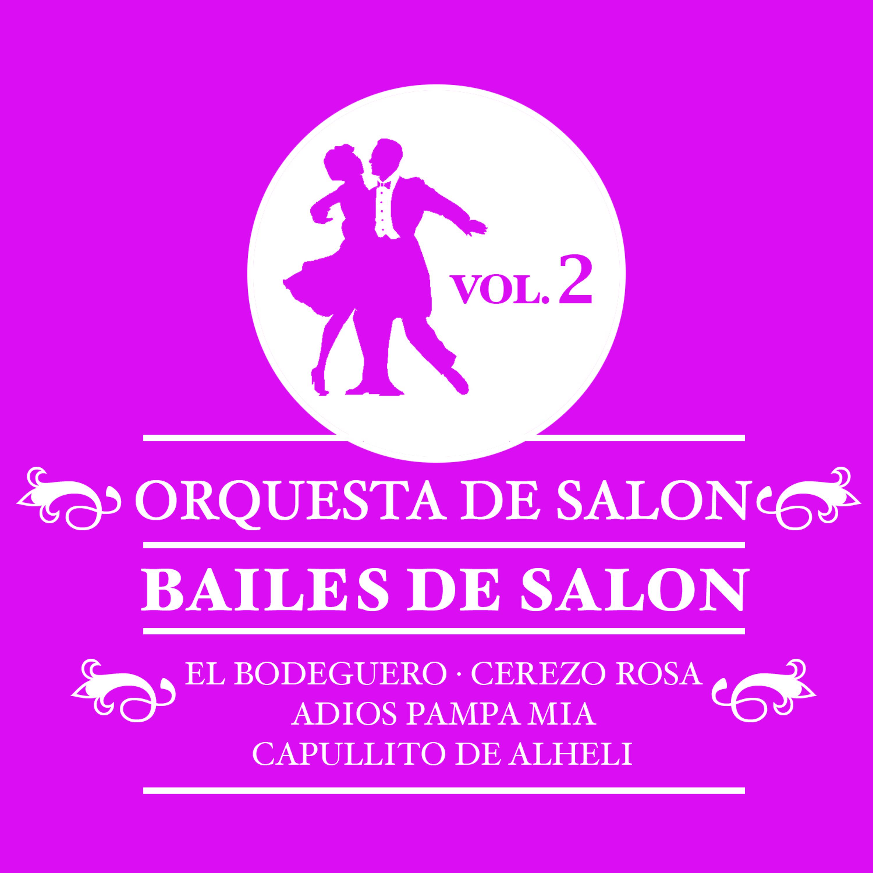 Постер альбома Bailes De Salon Vol.2
