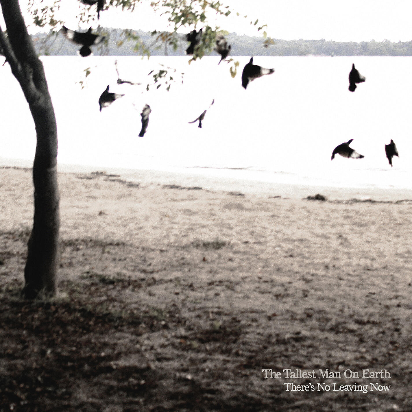 The Tallest Man On Earth - Wind and Walls