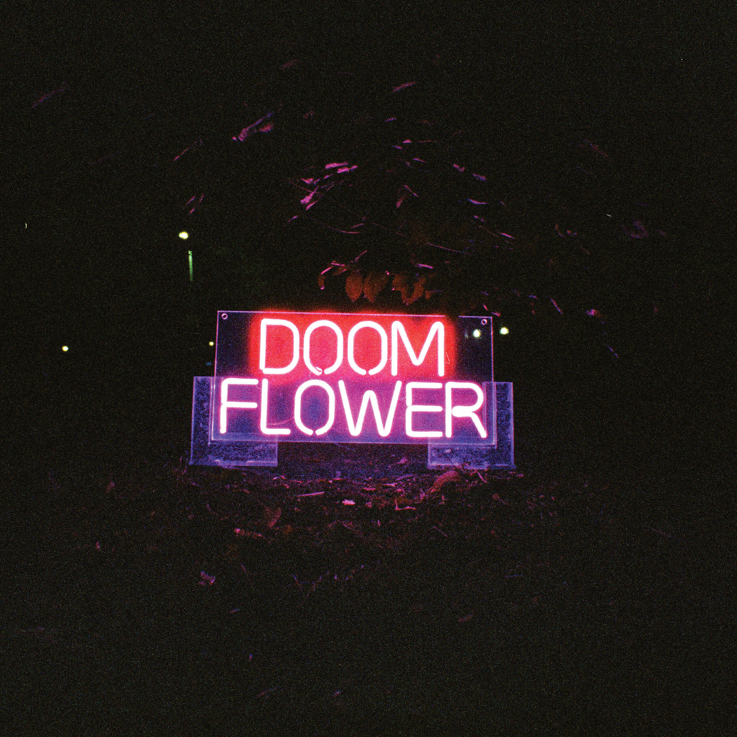 Doom Flower - Flyover State