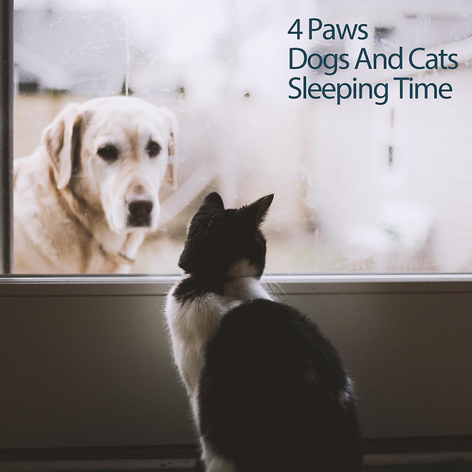 Sleepy Dogs - Dogs Sleep Music