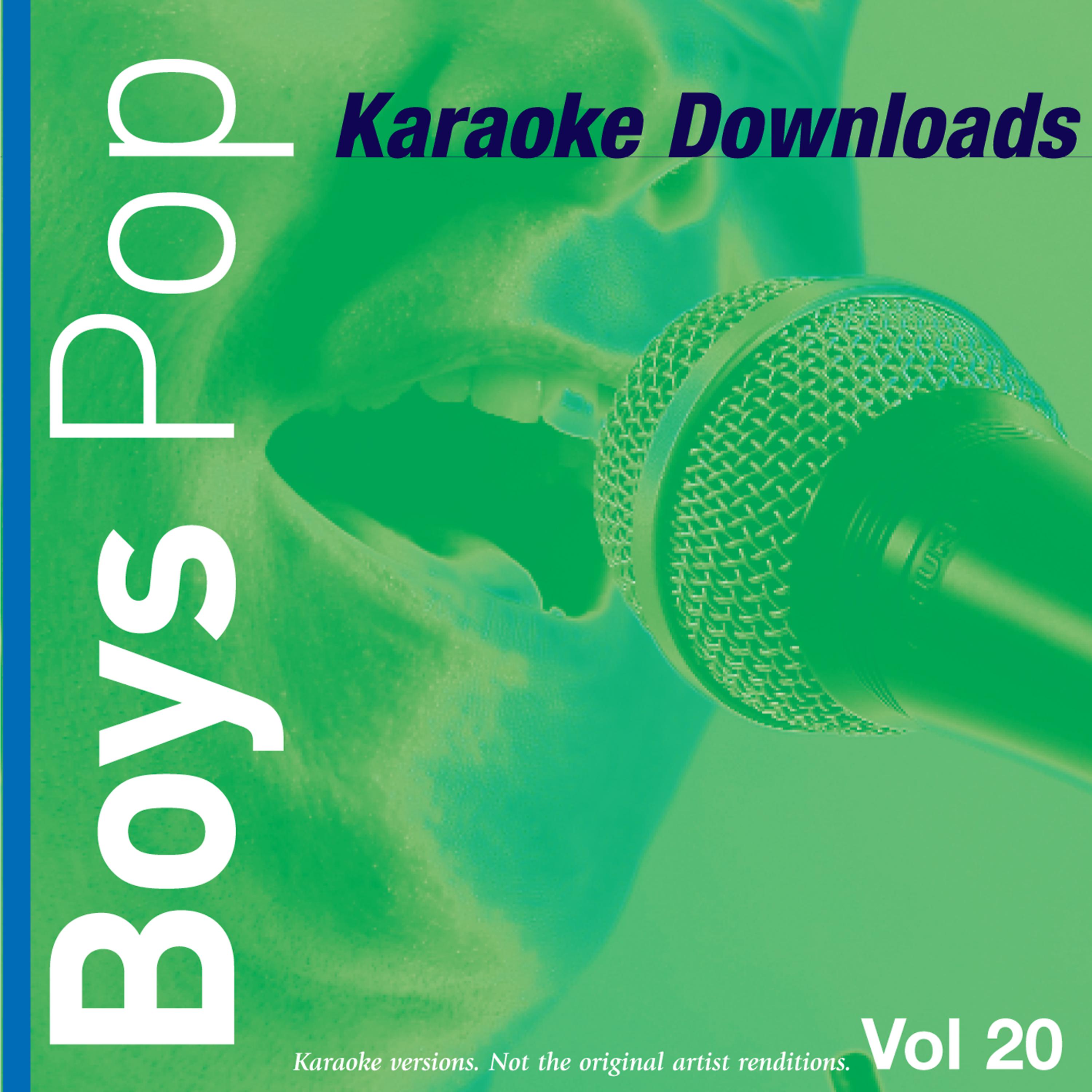 Постер альбома Karaoke Downloads - Boys Pop Vol.20