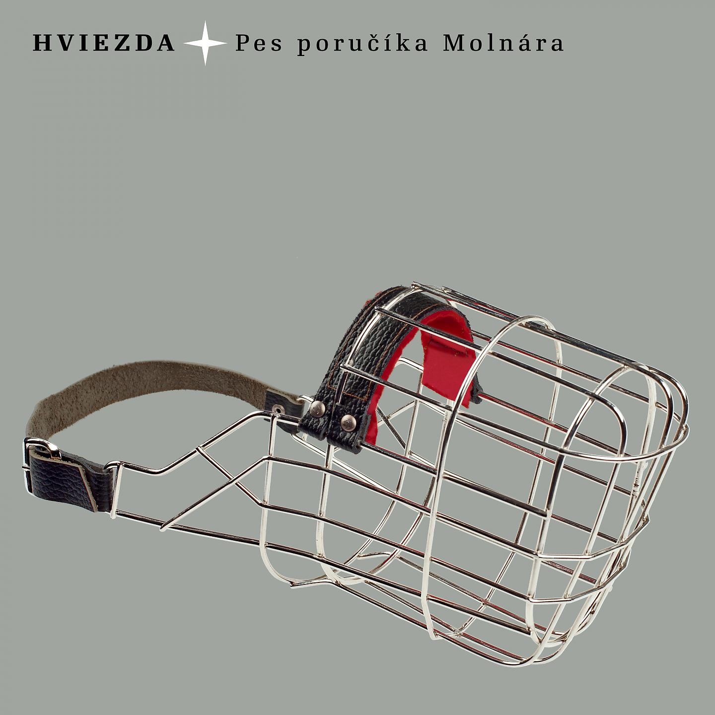 Постер альбома Pes Poručíka Molnára