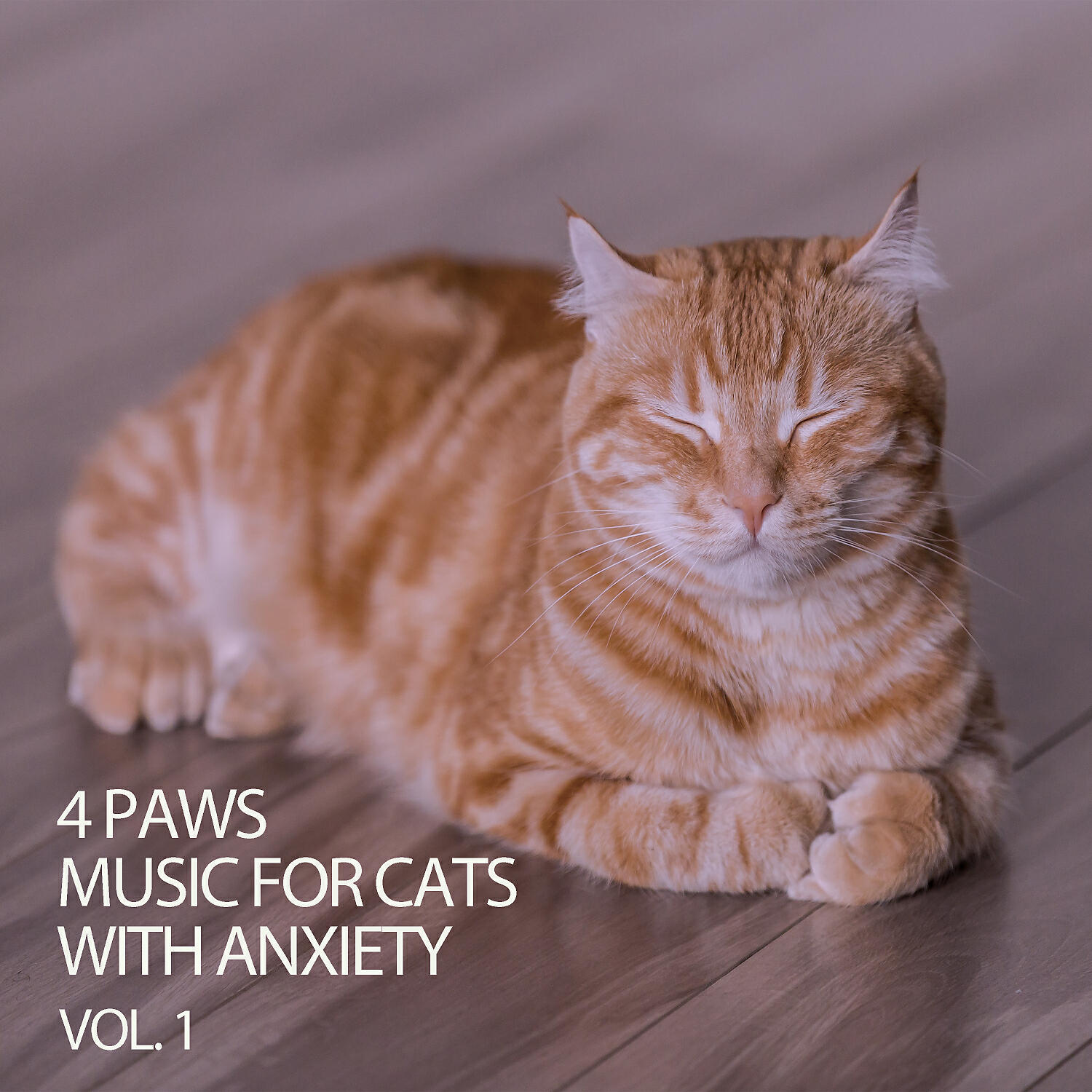 Cat Music - Calming Music For Cats & Dogs