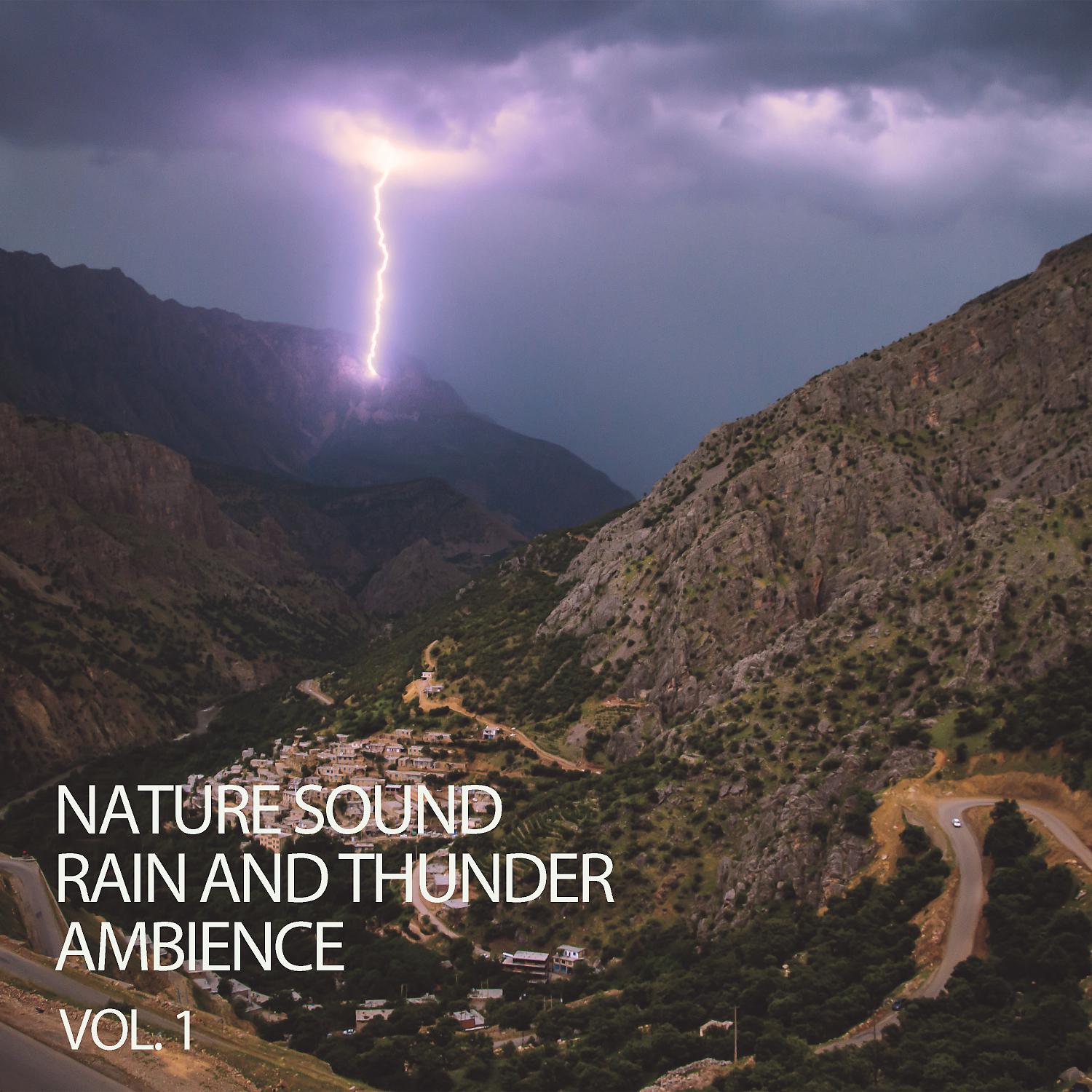 Постер альбома Nature Sound Rain And Thunder Ambience Vol. 1