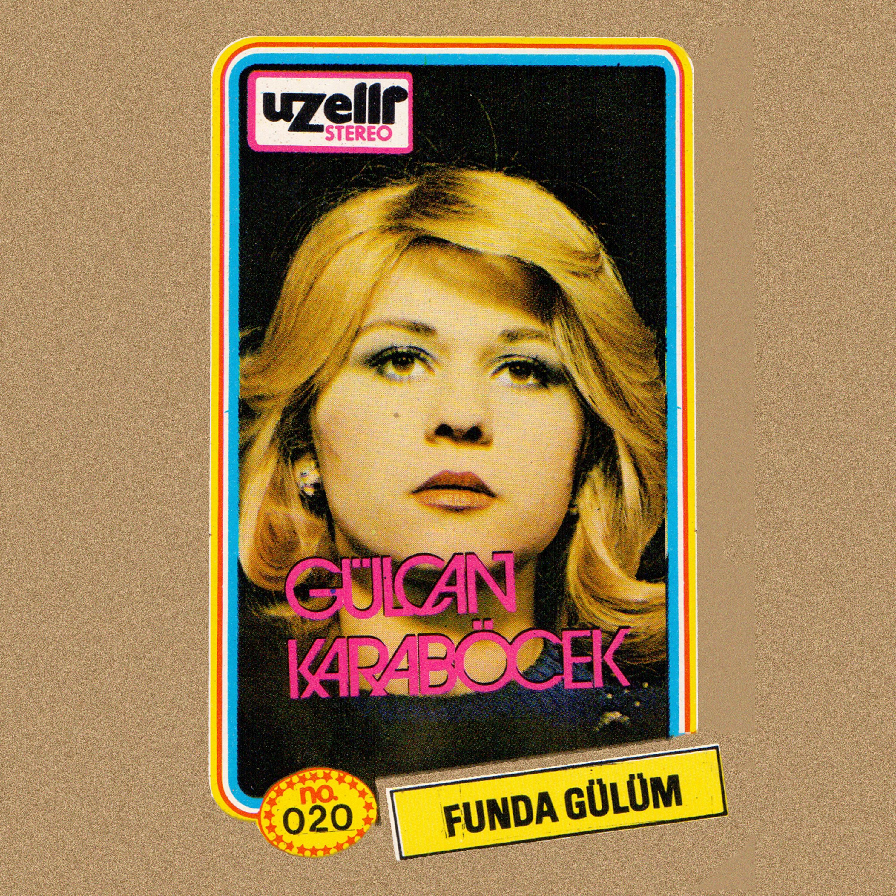 Постер альбома Funda Gülüm