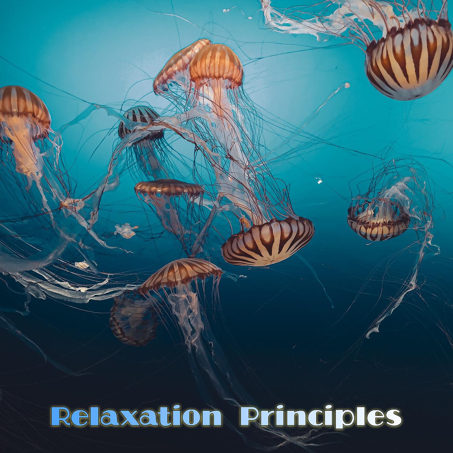 Постер альбома Relaxation Principles