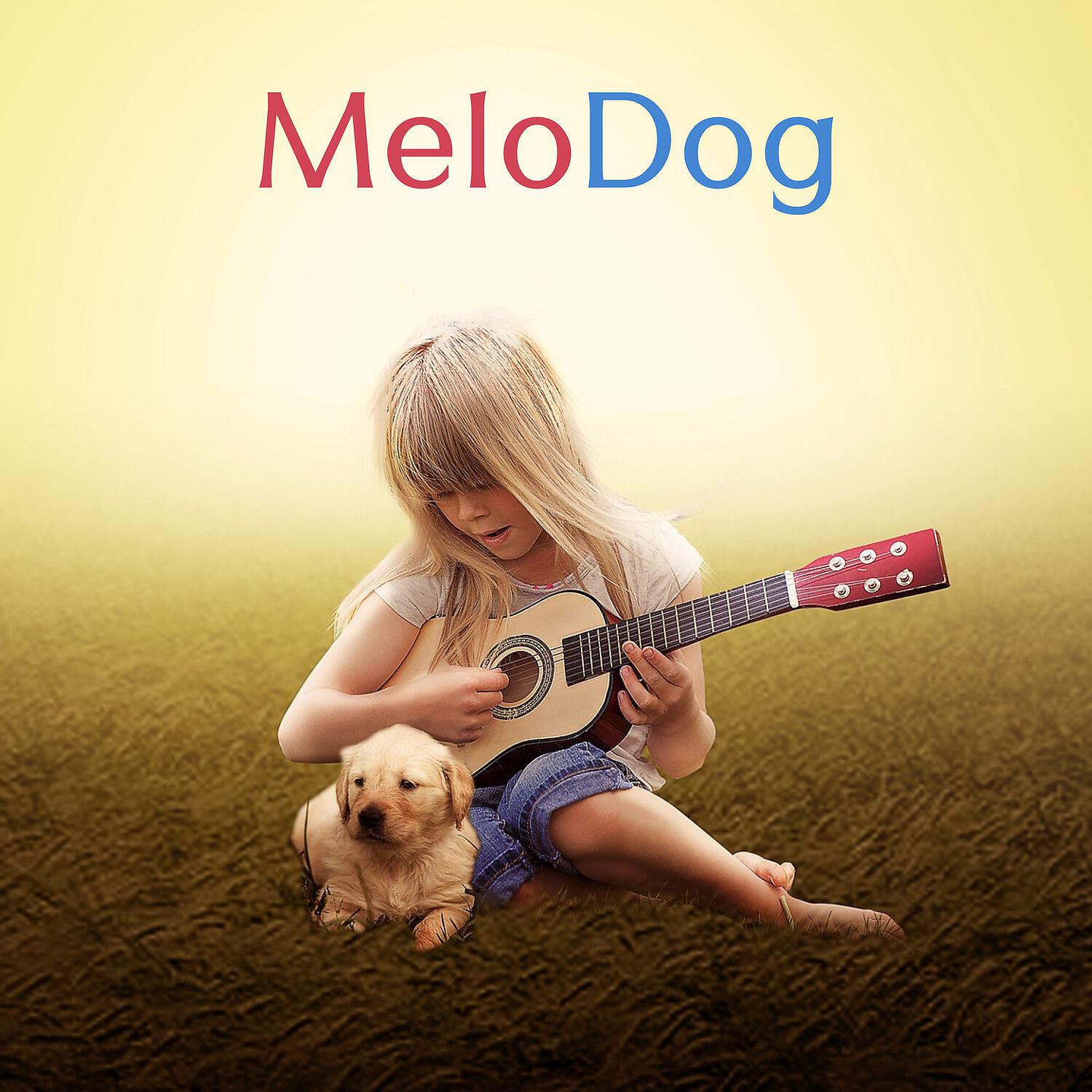 Music For Dogs - Haze Cleansing