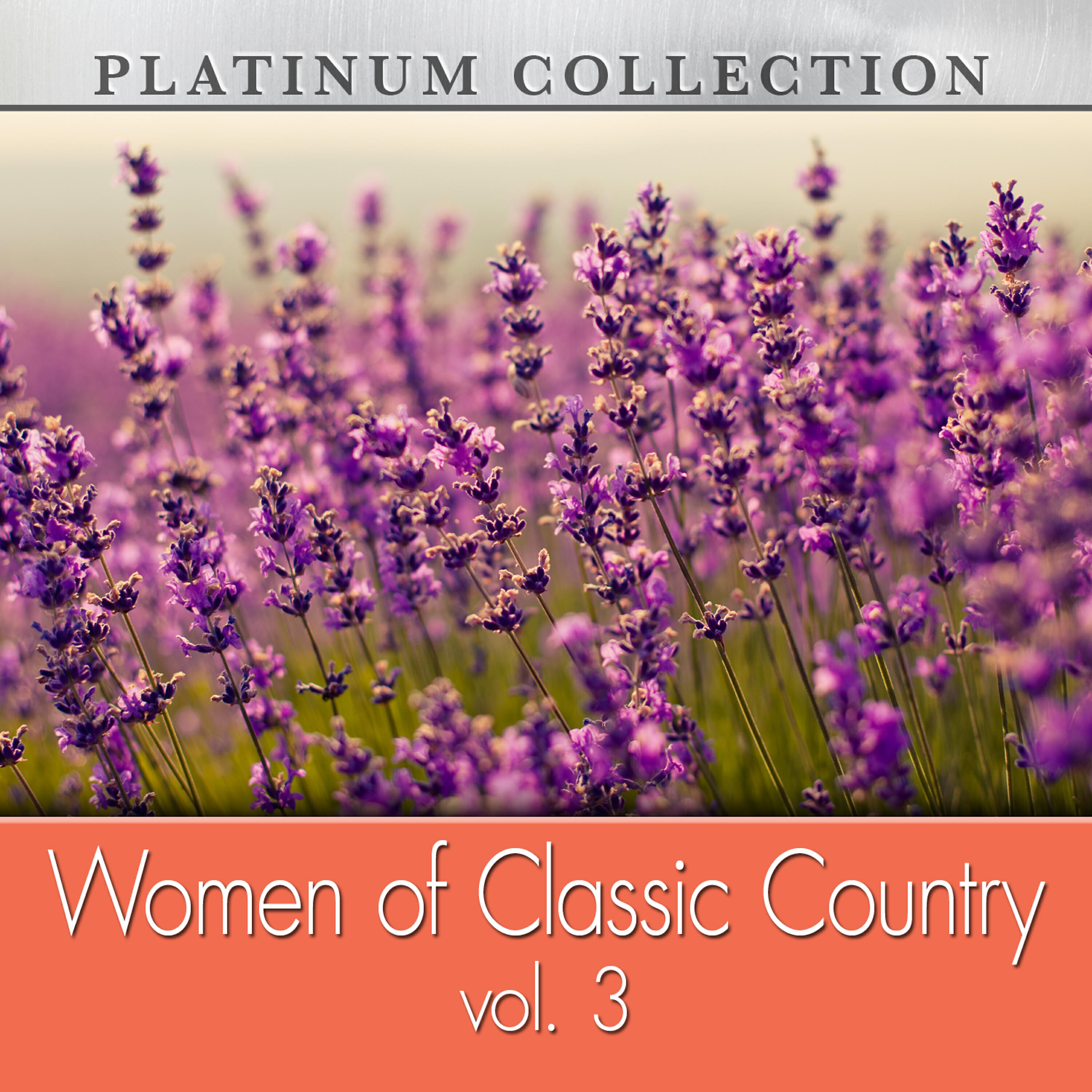 JUICE NEWTON - Stuck in the Middle (Re-Recorded Version)