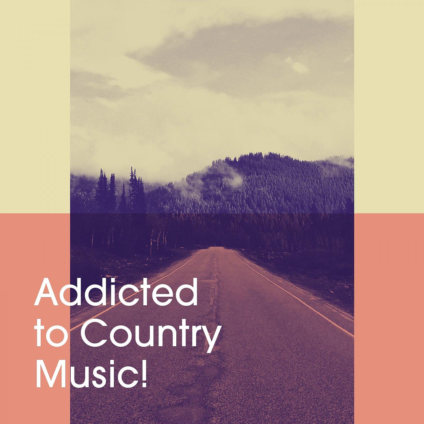 Постер альбома Addicted to Country Music!