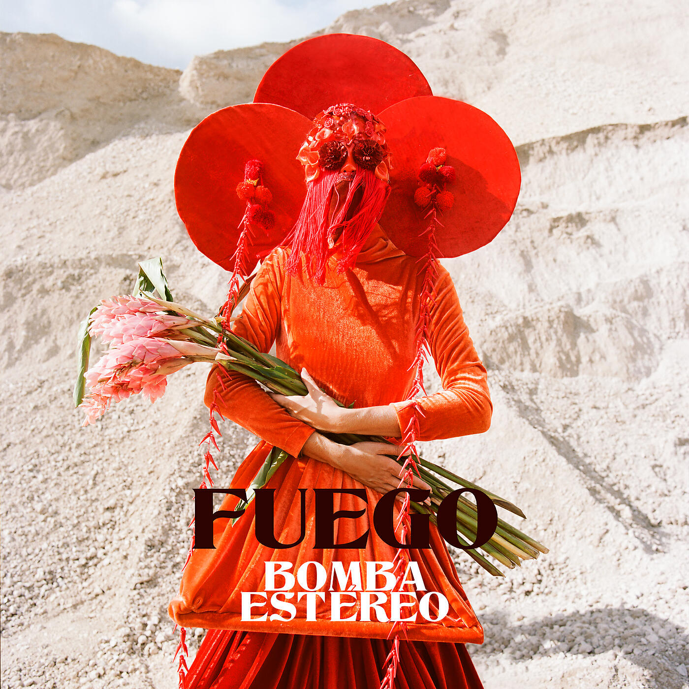 Bomba Estereo - Como Lo Pedí