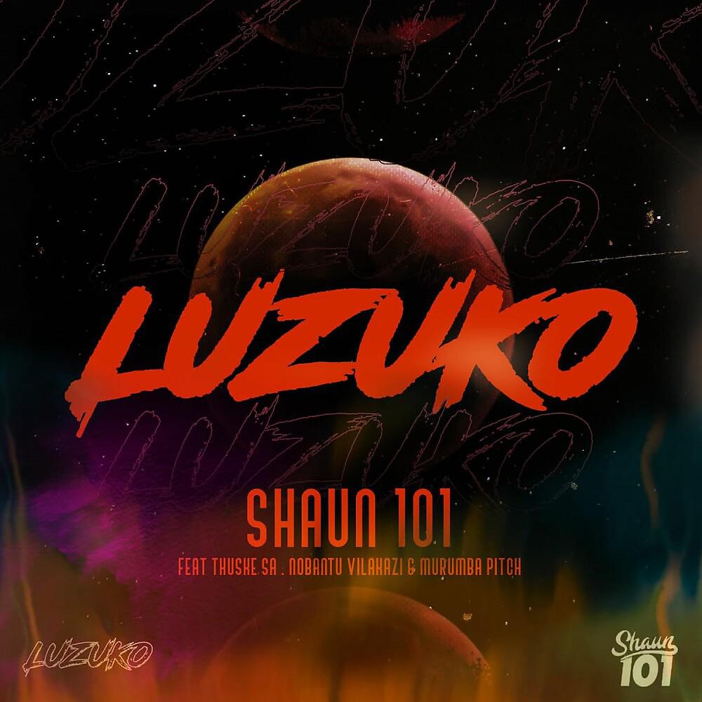 Постер альбома LUZUKO