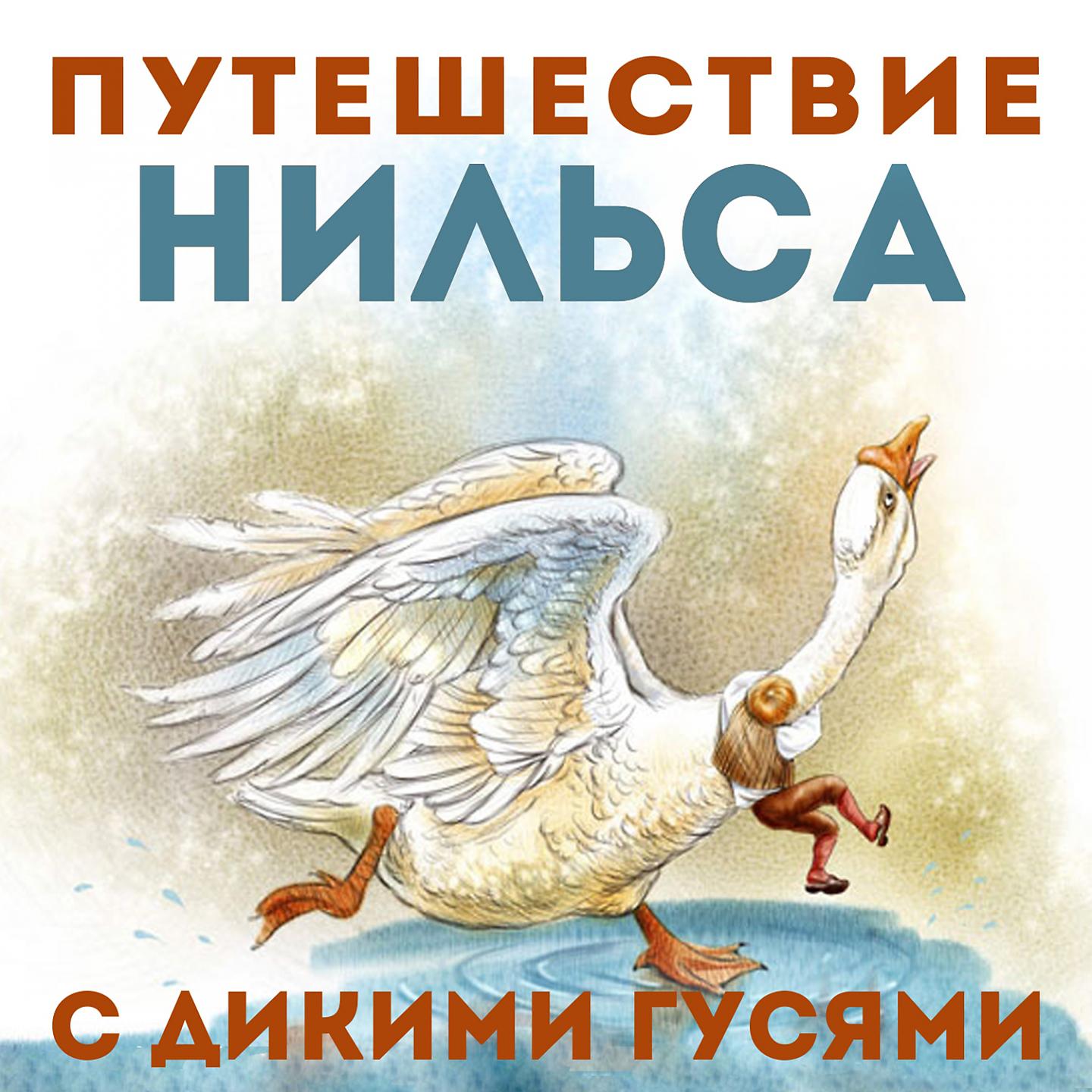 Постер альбома Путешествие Нильса с дикими гусями