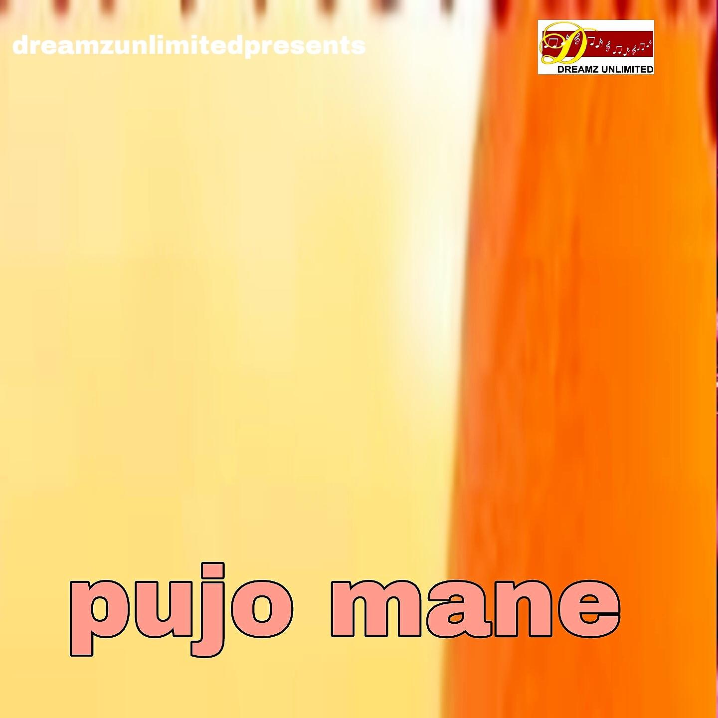 AMIT KUMAR - Pujo Mane