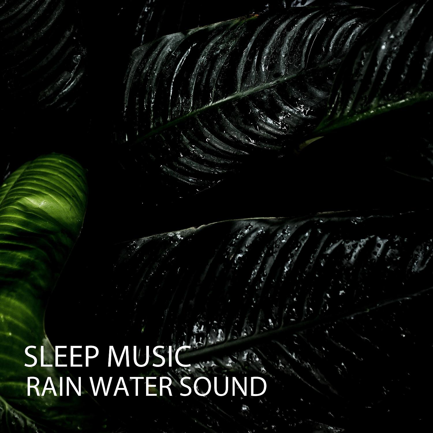 Постер альбома Sleep Music: Rain Water Sound