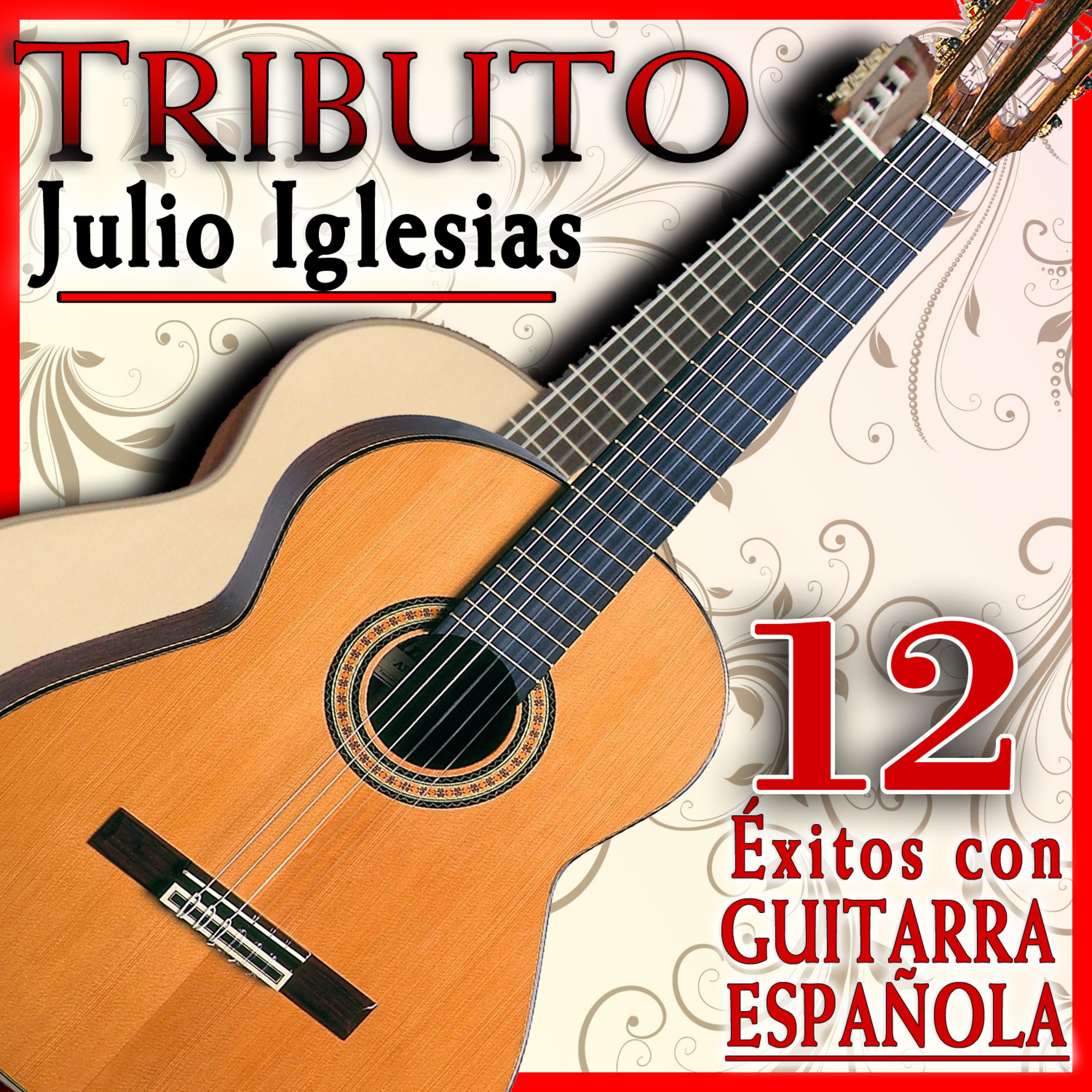 Постер альбома Tributo a Julio Iglesias, 12 Éxitos Con Guitarra Española
