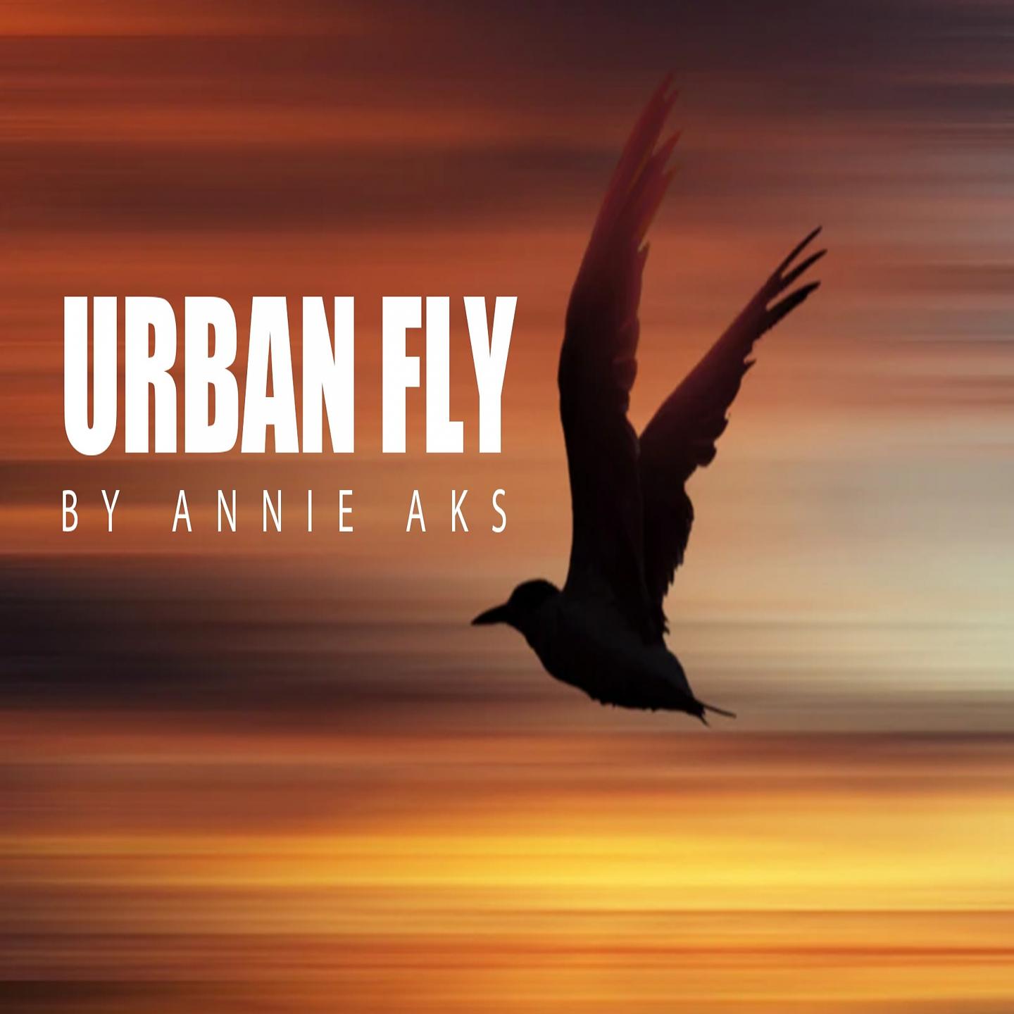 Постер альбома Urban Fly