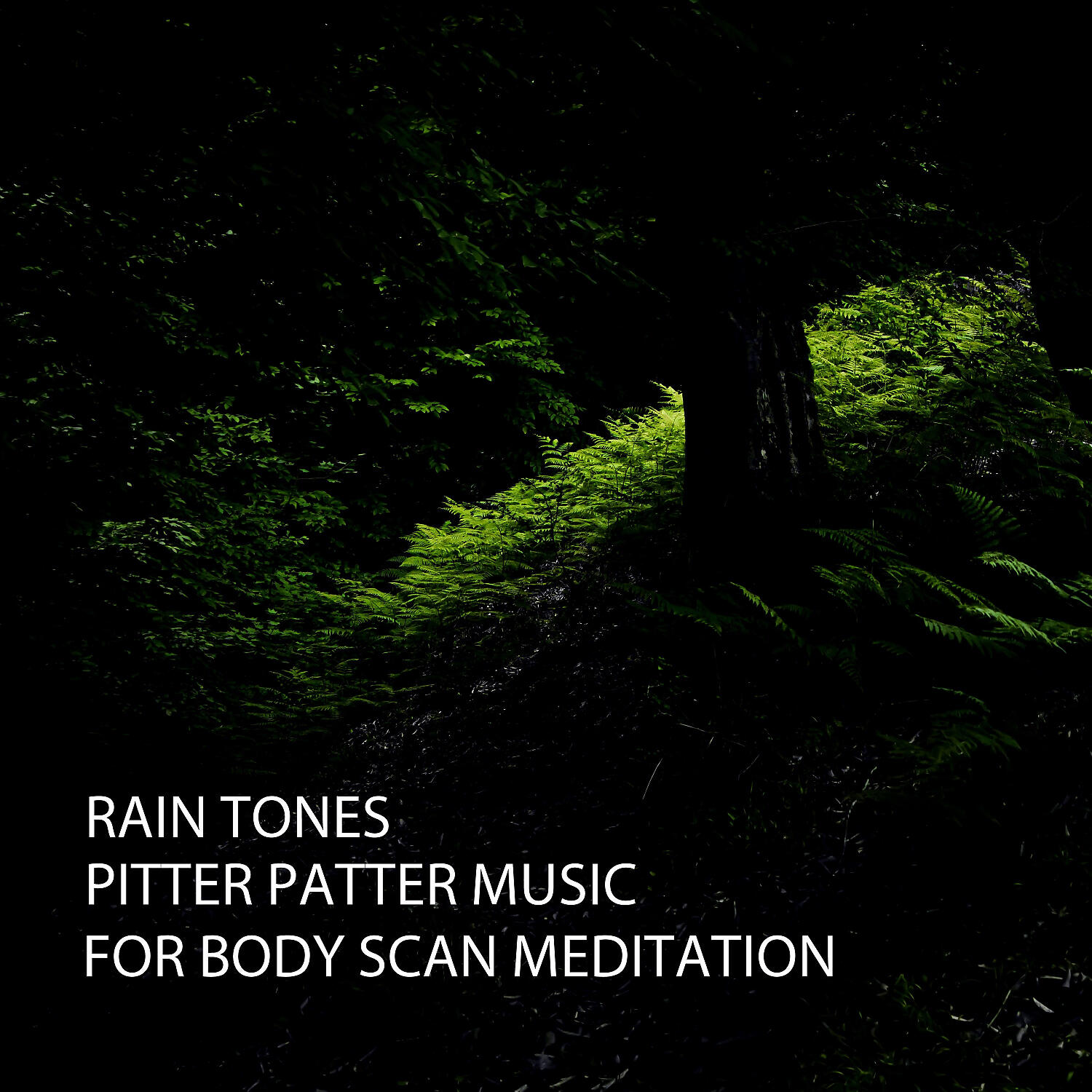 Reiki Armonía - Gentle Rain Touch