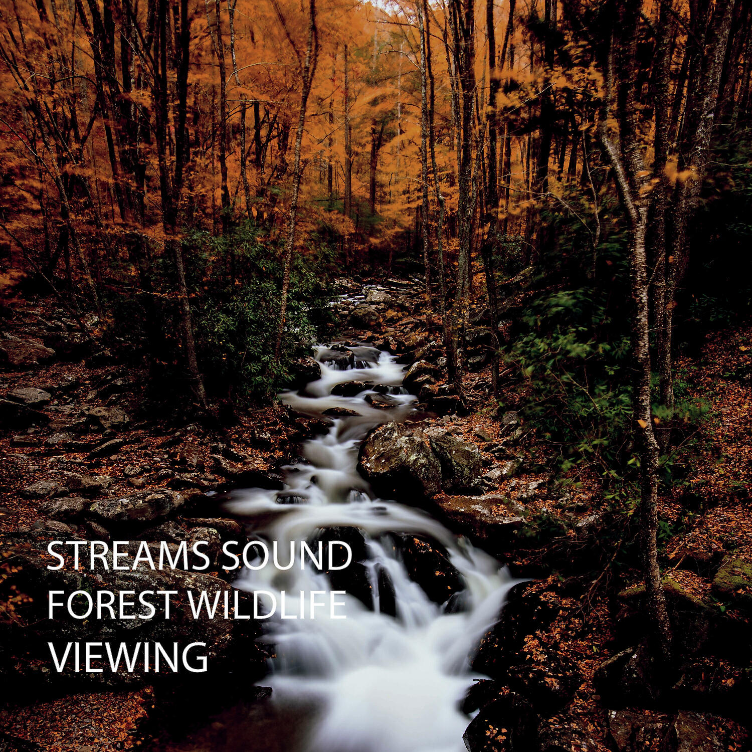 Rivers - Waterflow Tone