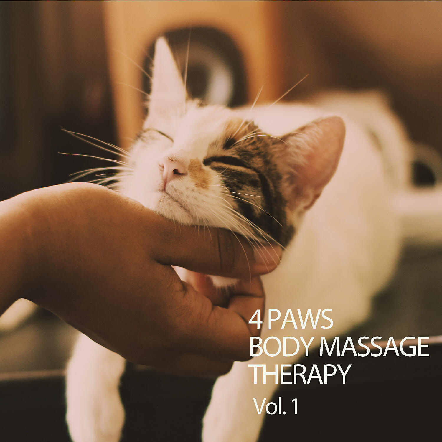 Sleepy Dogs - Cats Calming Sound