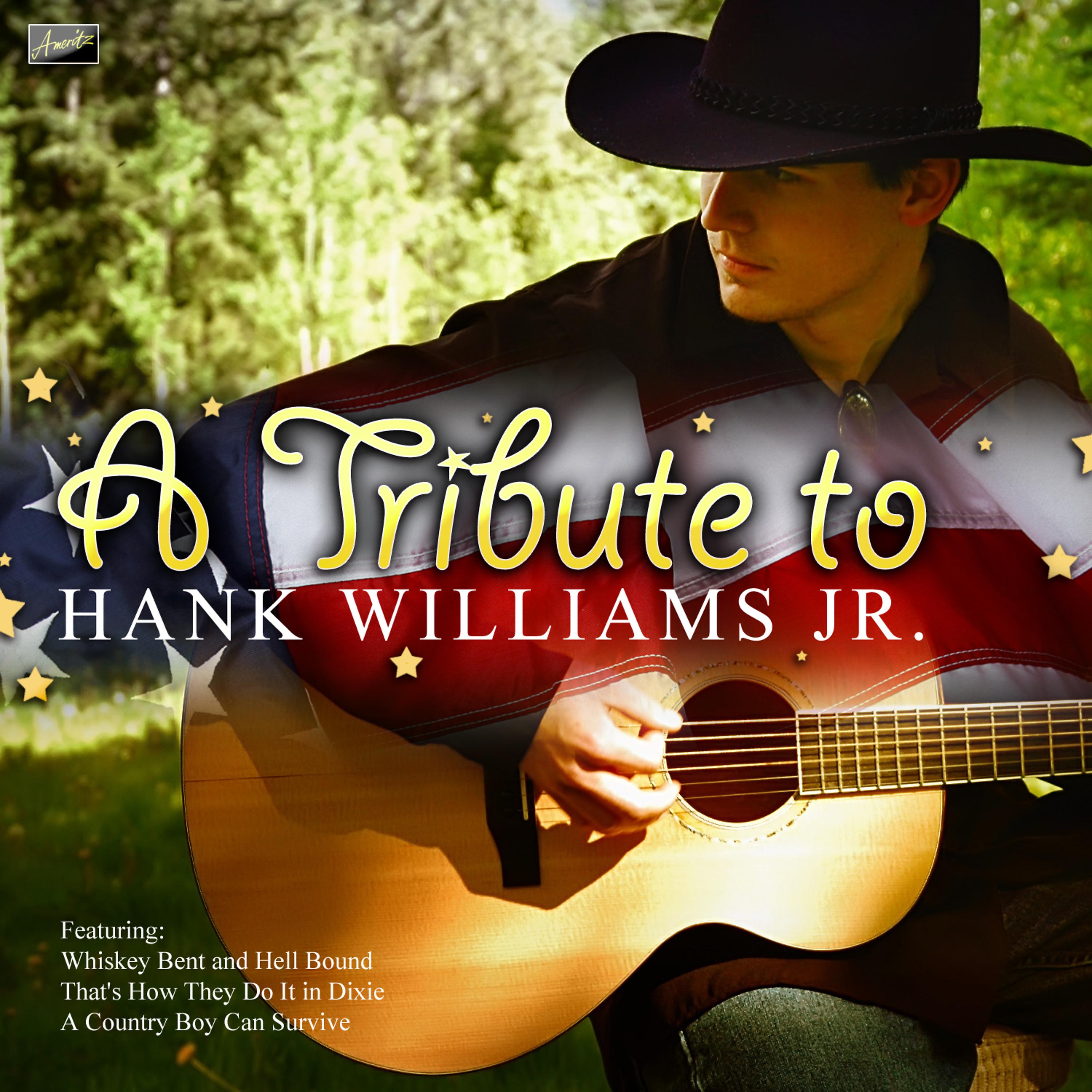 Постер альбома A Tribute to Hank Williams Jr