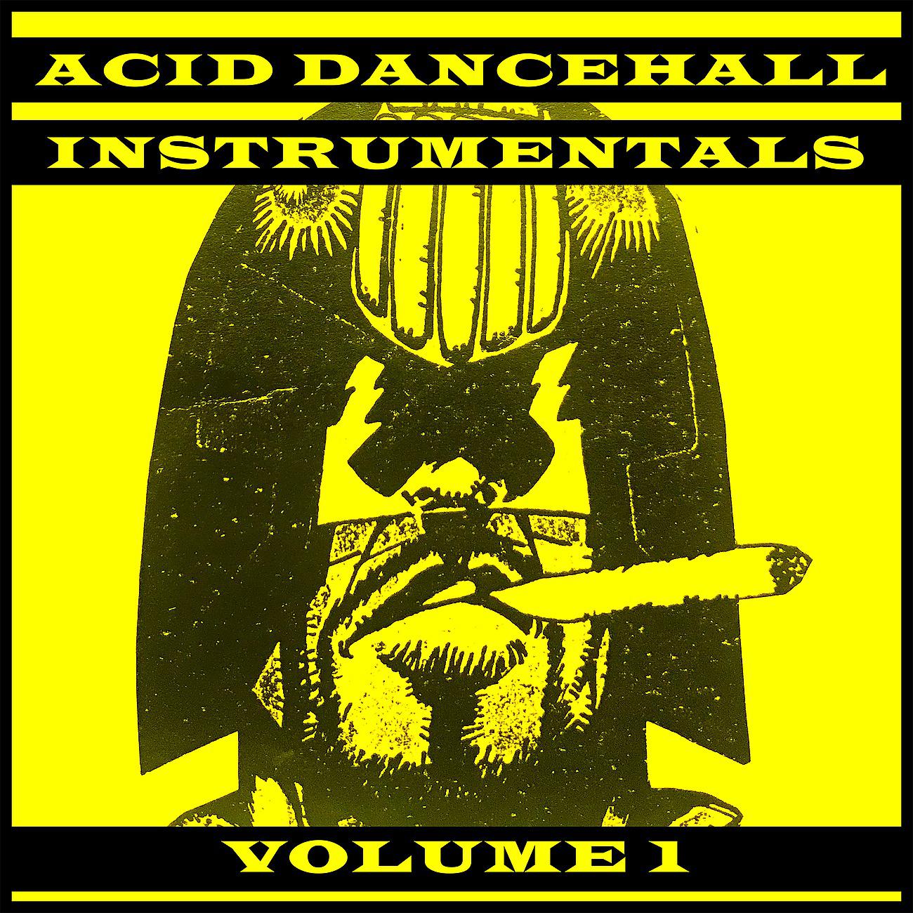 Постер альбома Acid Dancehall Instrumentals Vol.1