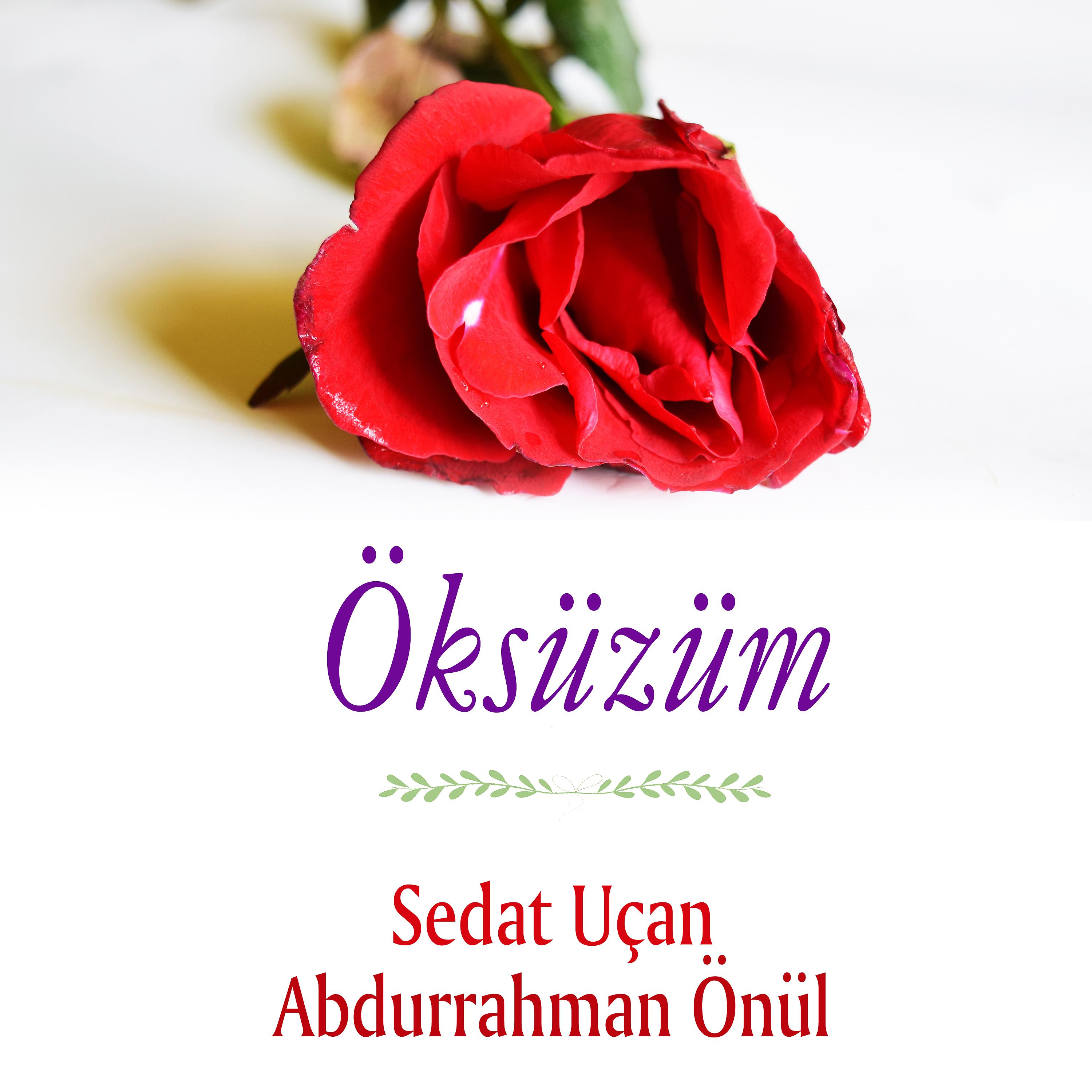Постер альбома Öksüzüm