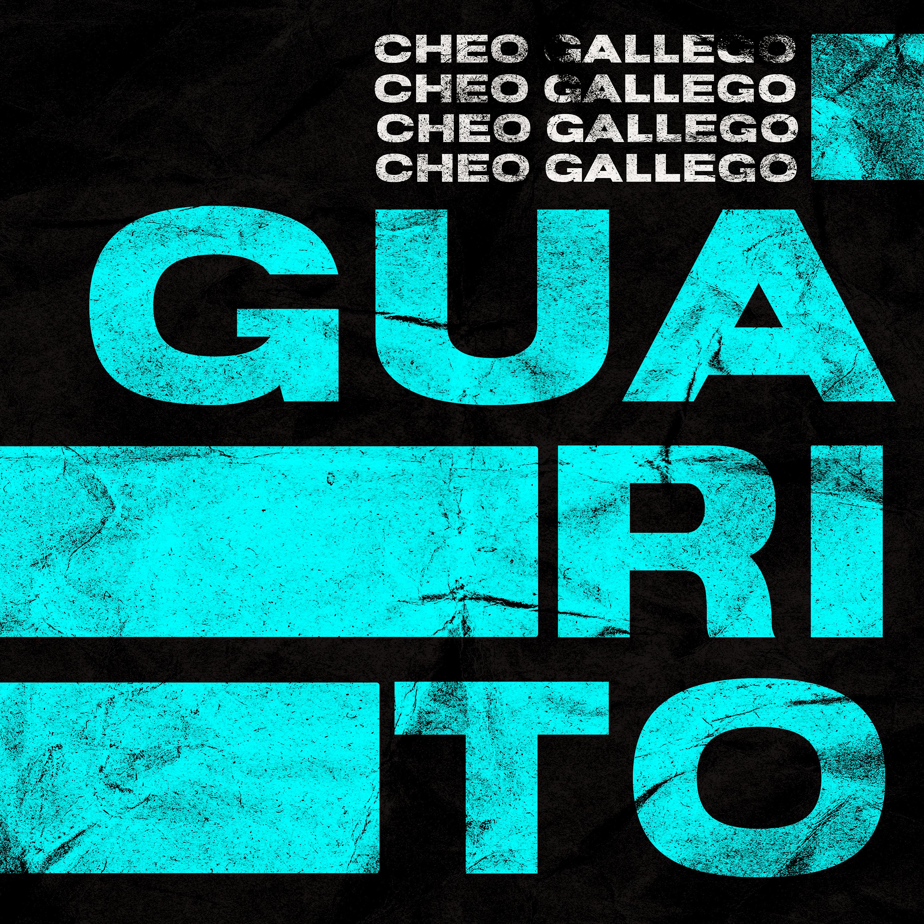 Постер альбома Guarito
